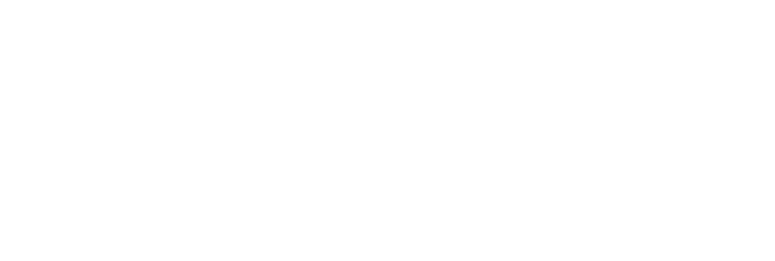PDA Logo R2-White.png
