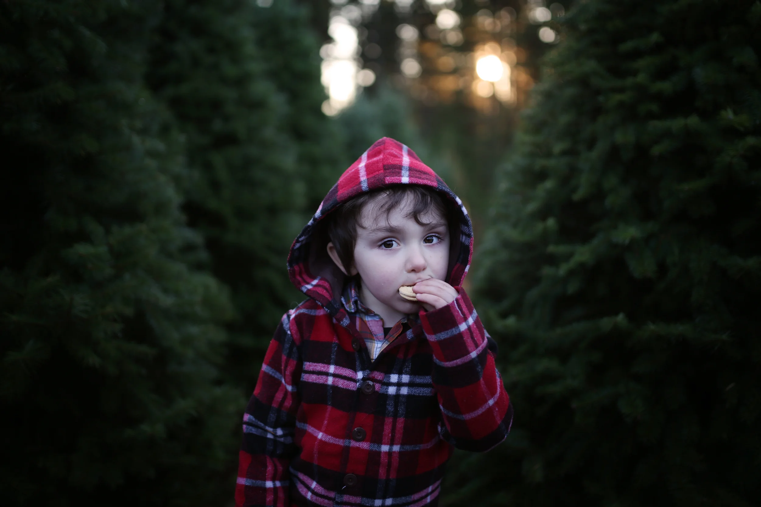 "L" Family | Hubert's Tree Farm