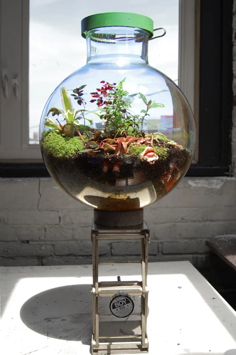 TALKDESIGN_20LBIODOME3.jpg