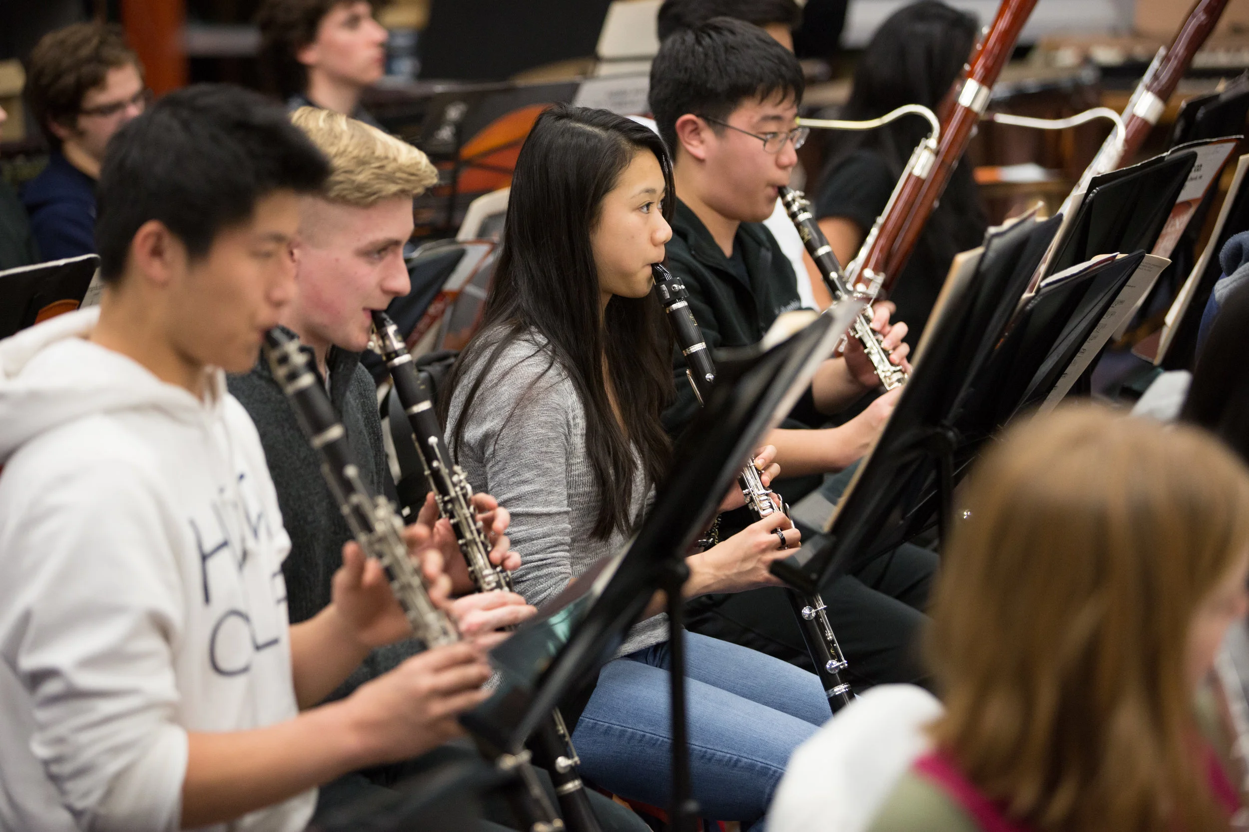 CLARINET ENSEMBLE (January 2018)