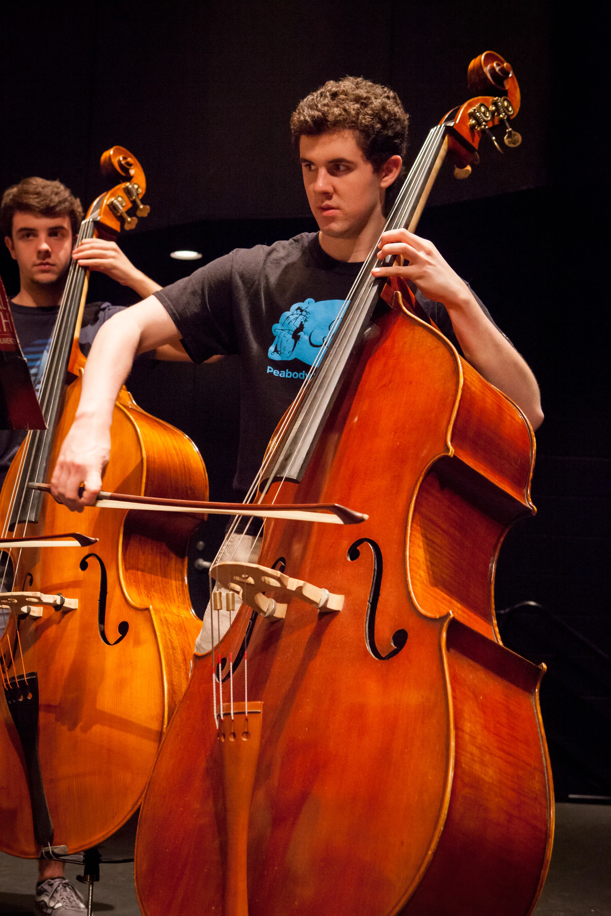 American Youth Philharmonic (AYP)