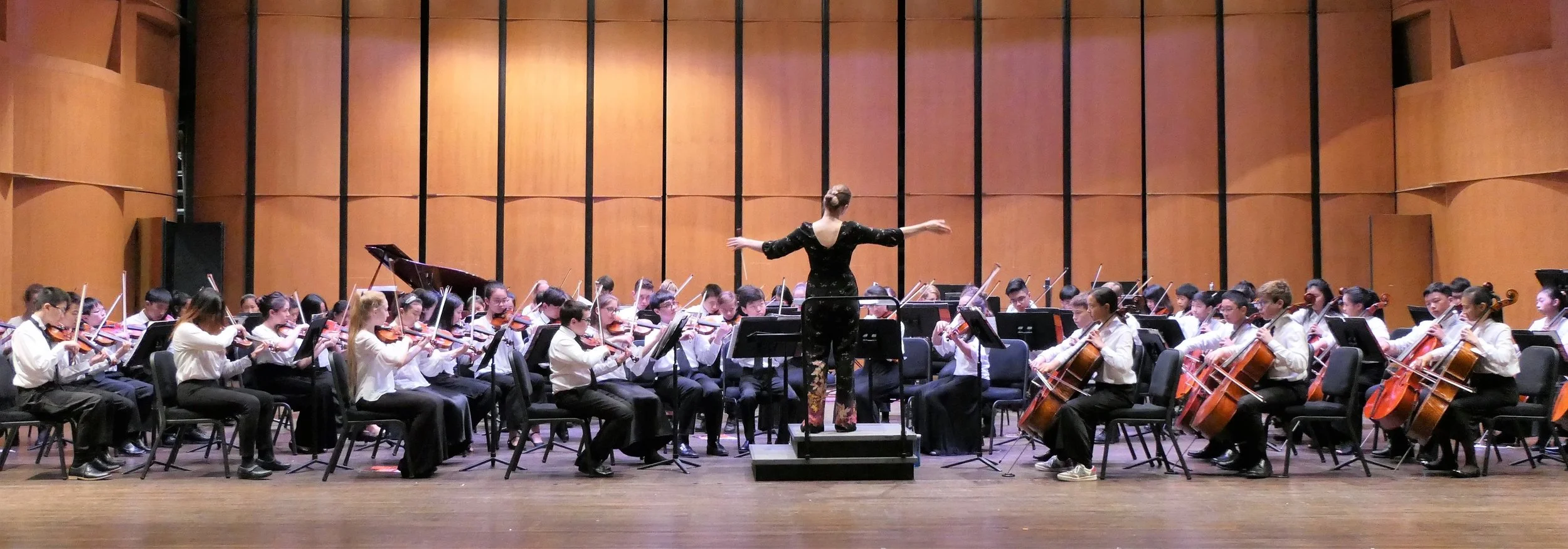 AYDO &amp; AYSE in Concert 