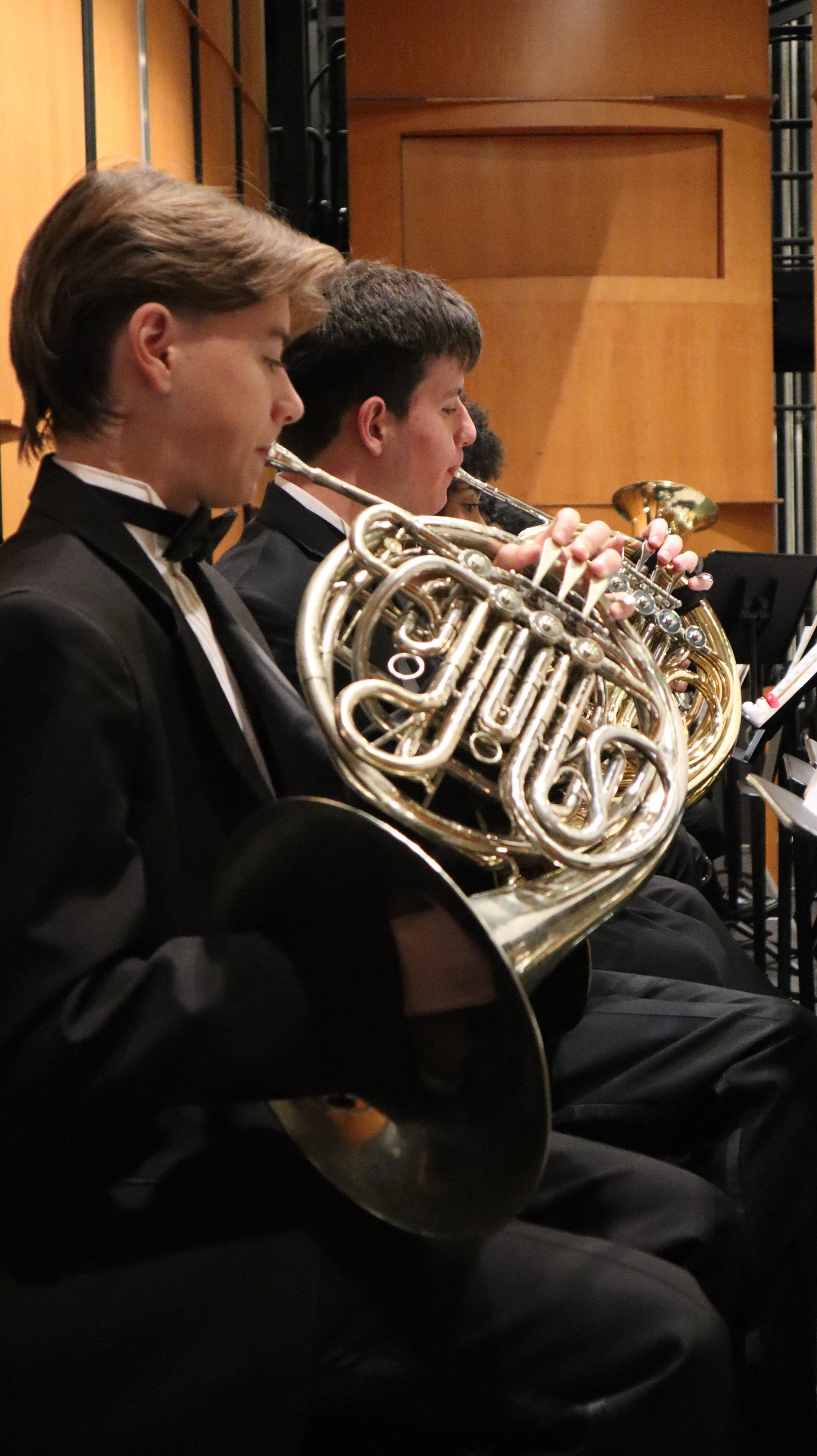 Concert Orchestra &amp; Symphonic Orchestra in Concert