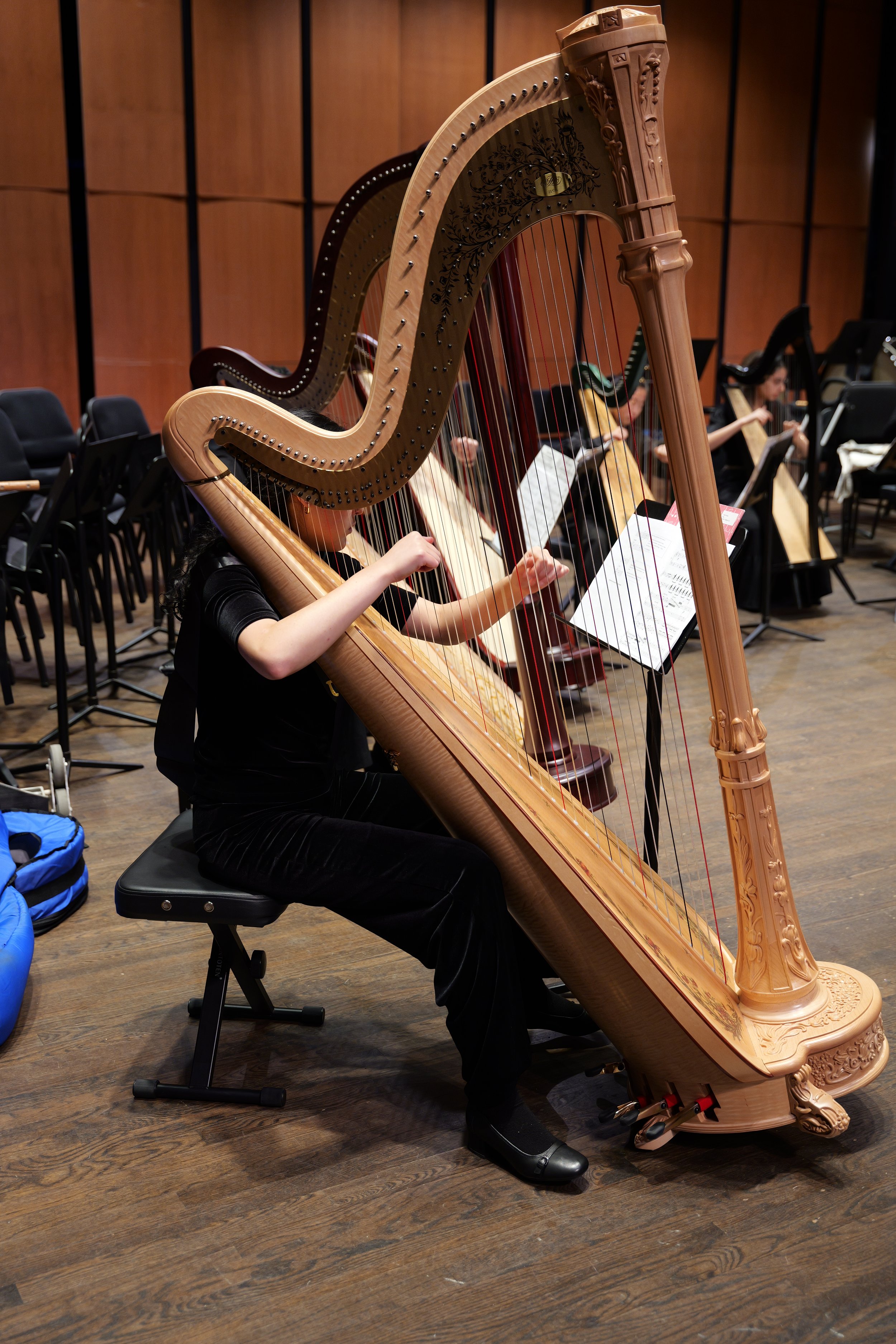 Harp Ensemble, Concert Orchestra &amp; Symphonic Orchestra in Concert