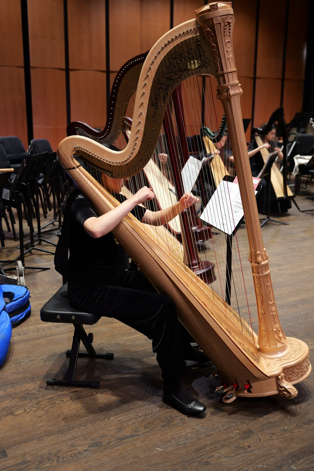 2025-2026 Season — American Youth Philharmonic Orchestras