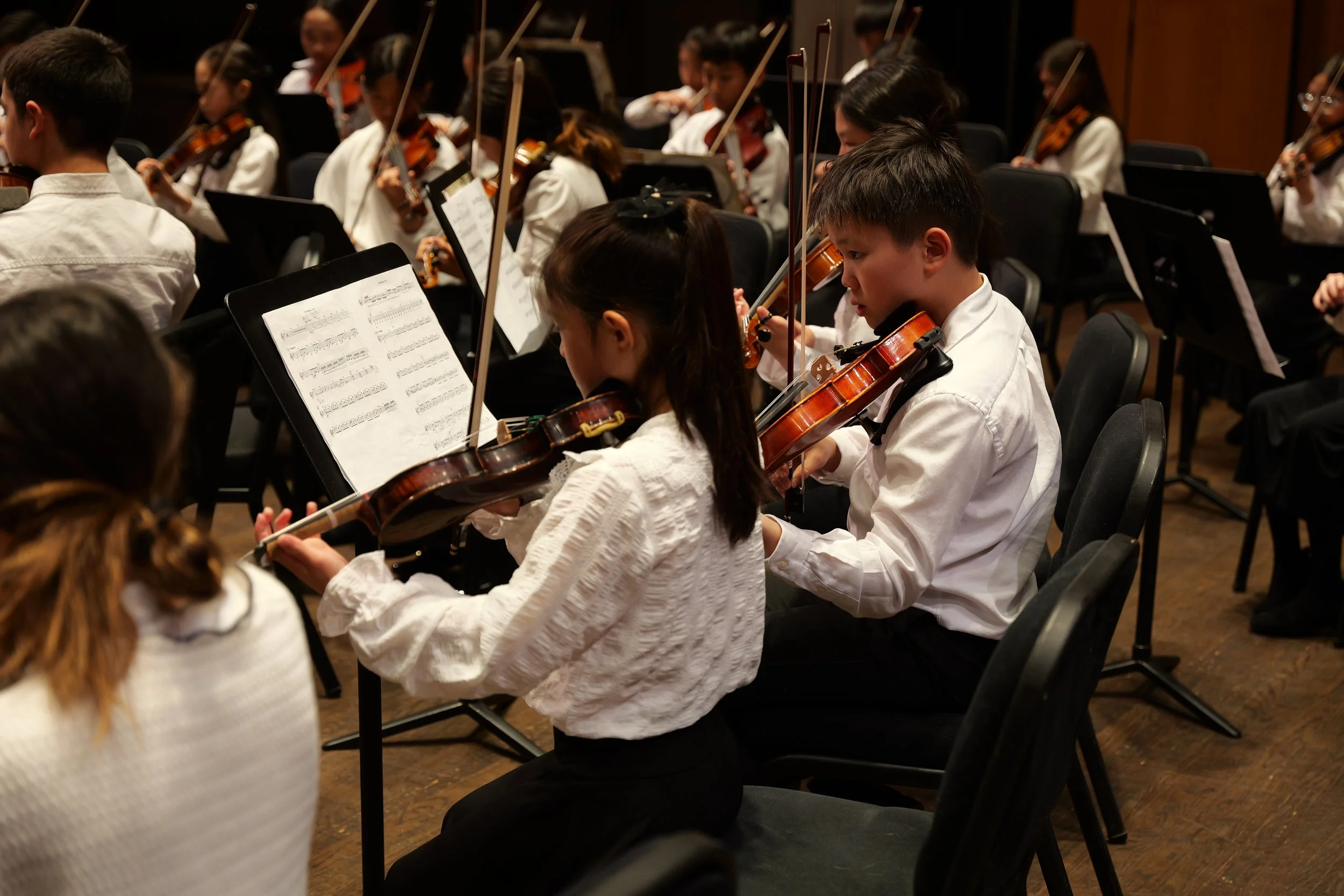 Debut Orchestra &amp; String Ensemble in Concert