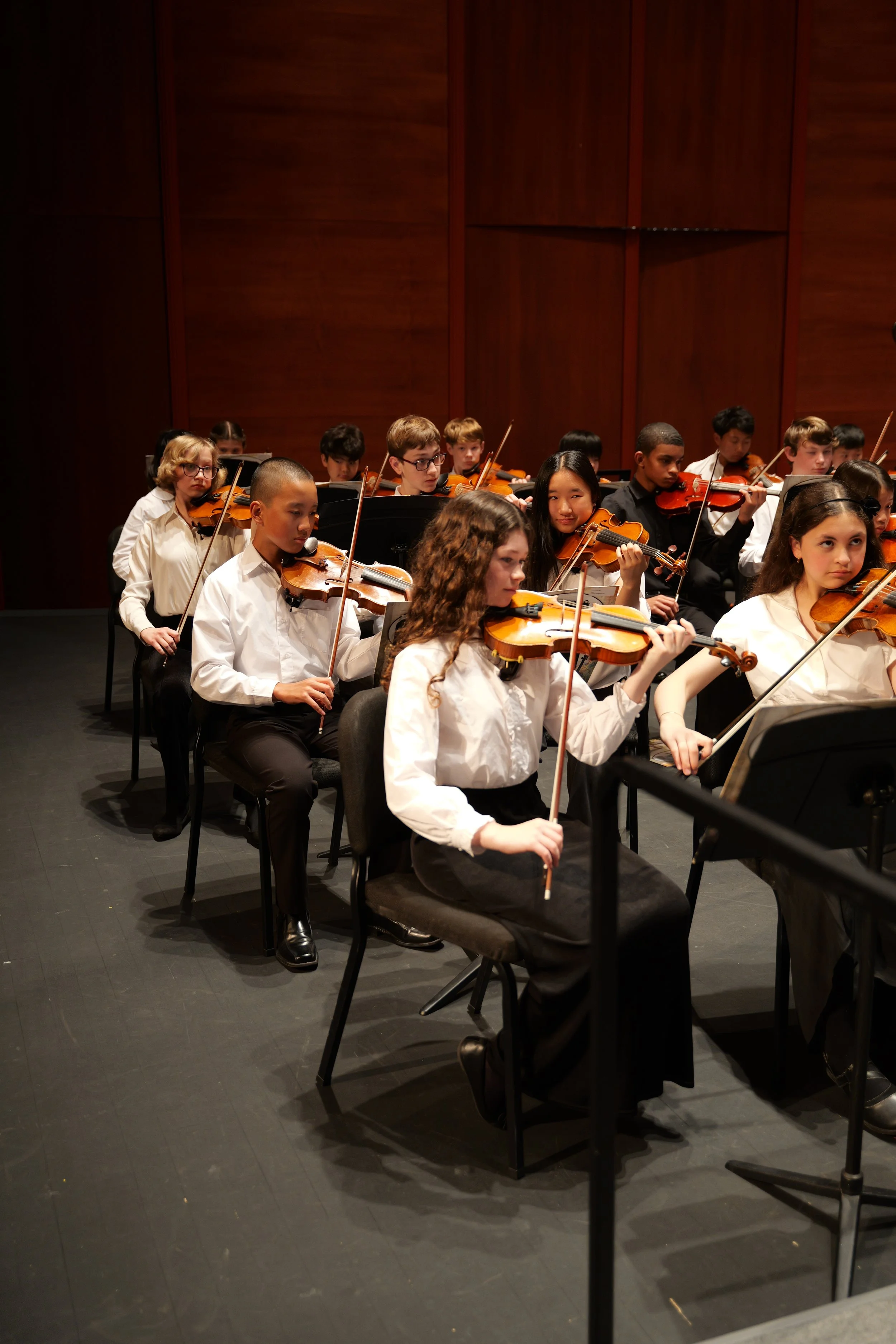 Debut Orchestra &amp; String Ensemble in Concert