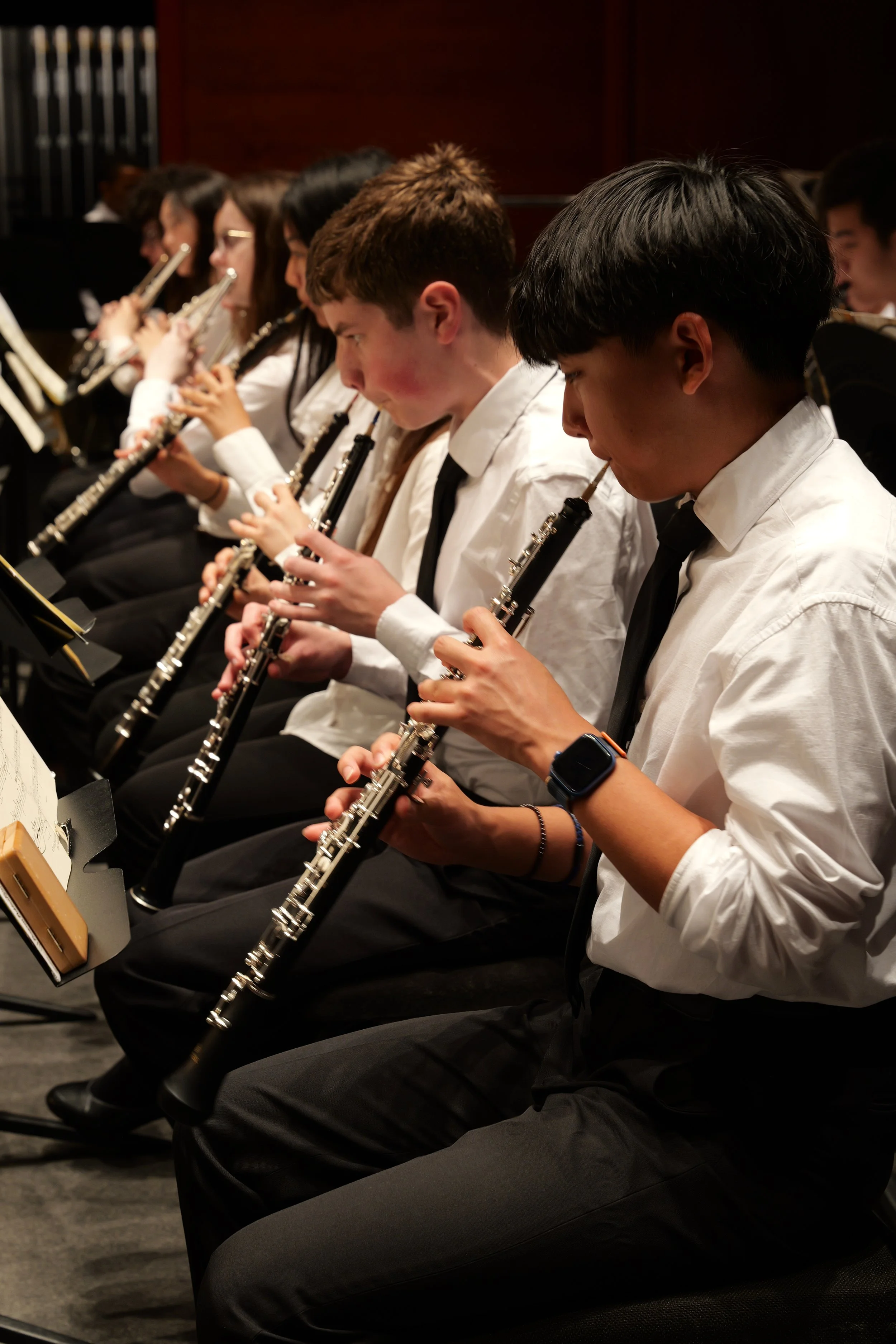 Flute Ensemble, Concert Orchestra &amp; Symphonic Orchestra in Concert