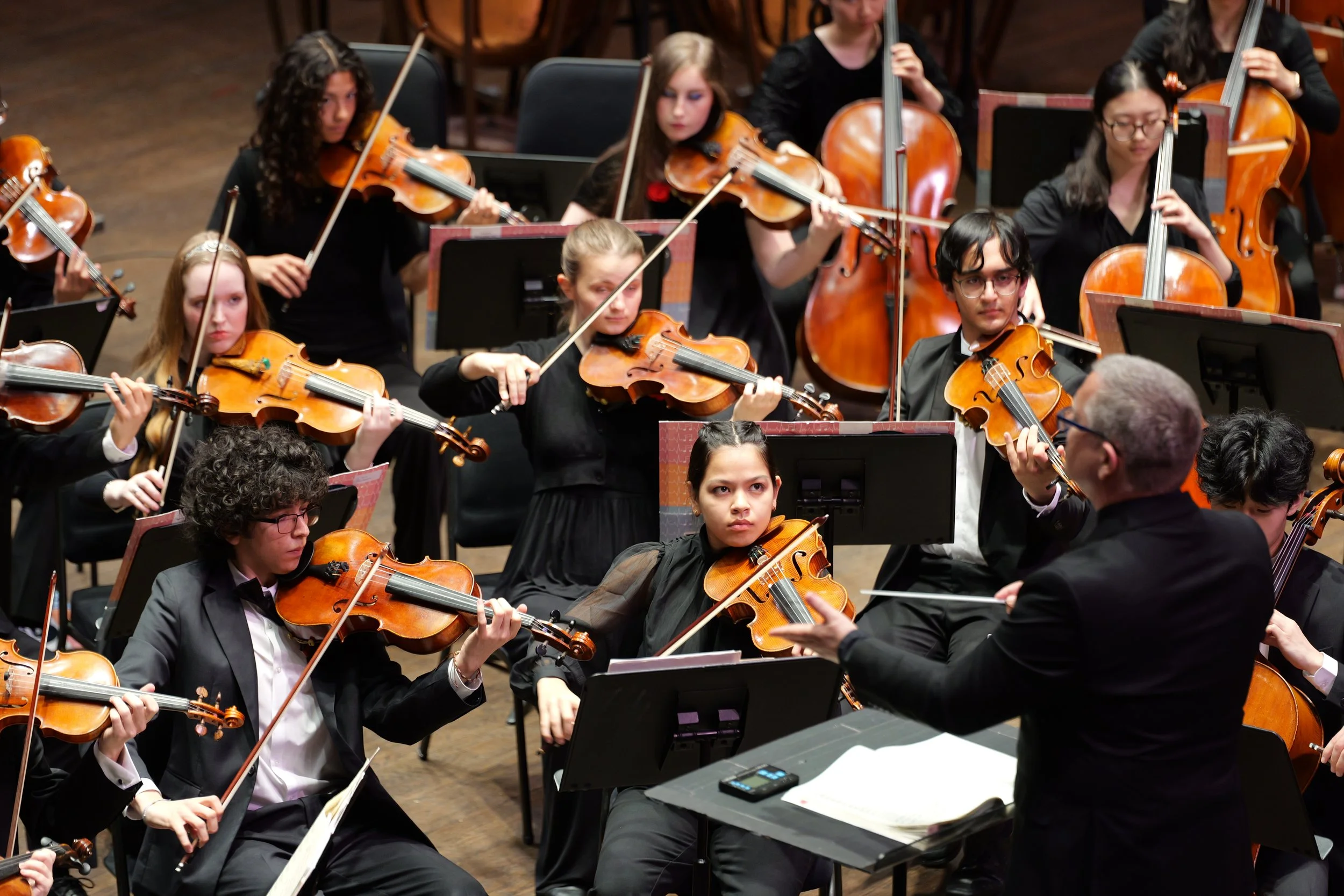 Harp Ensemble &amp; the American Youth Philharmonic in Concert