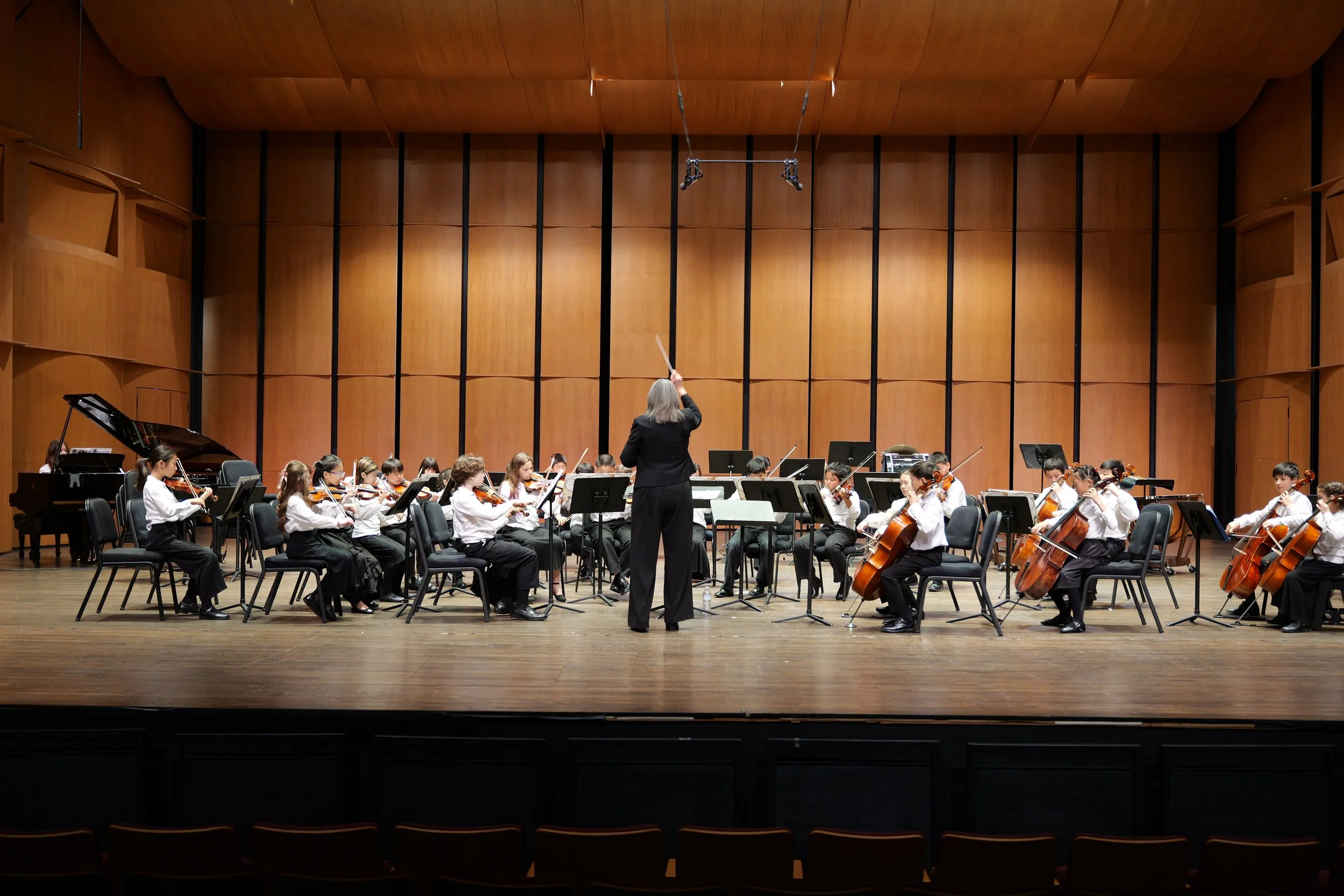 Harp Ensemble &amp; Prelude Strings in Concert