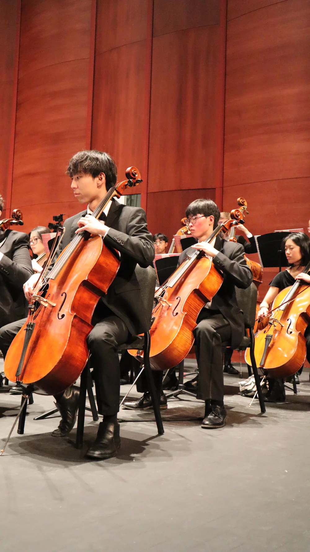 2025-2026 Season — American Youth Philharmonic Orchestras