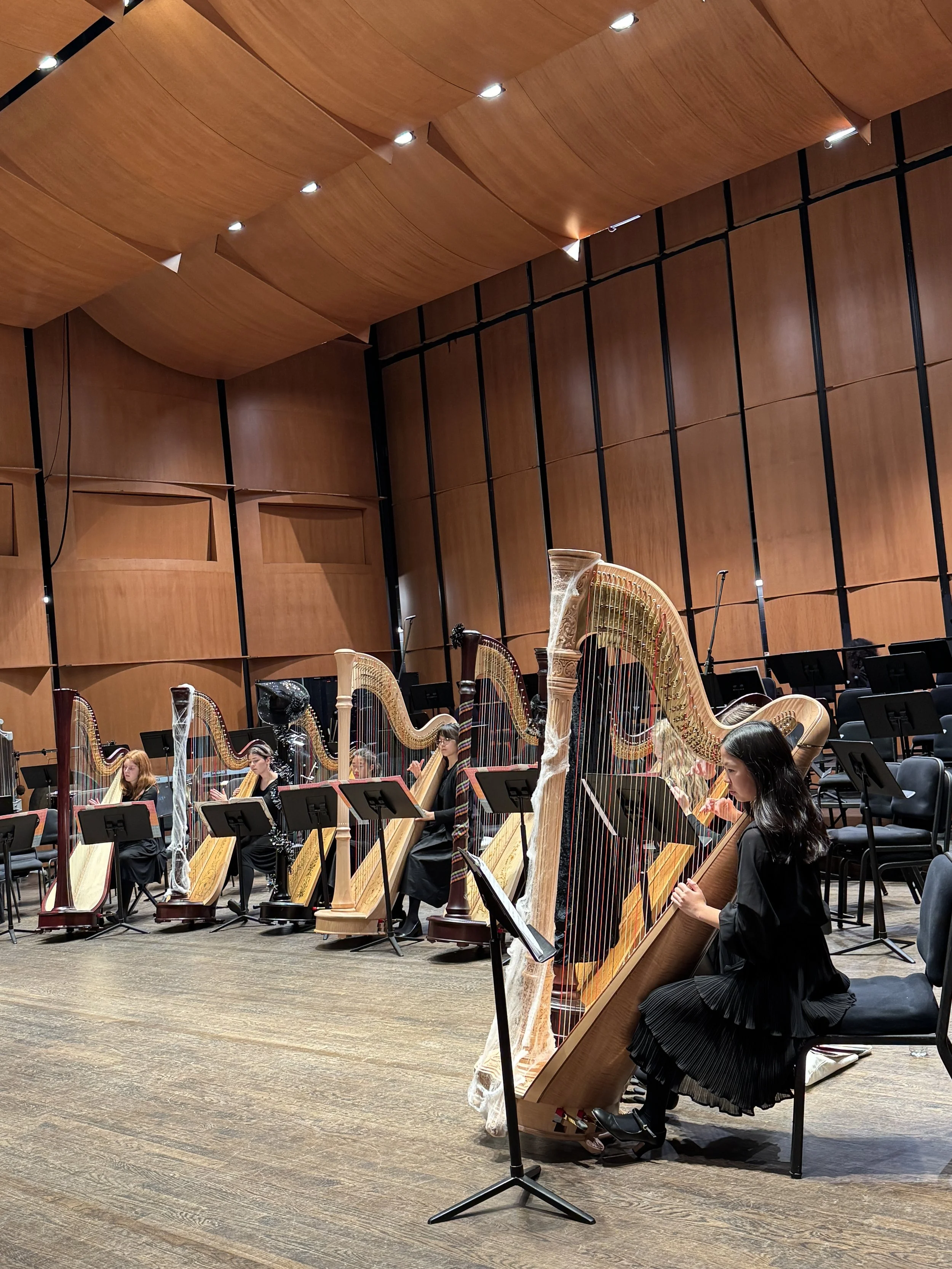Flute &amp; Harp Ensemble In Concert
