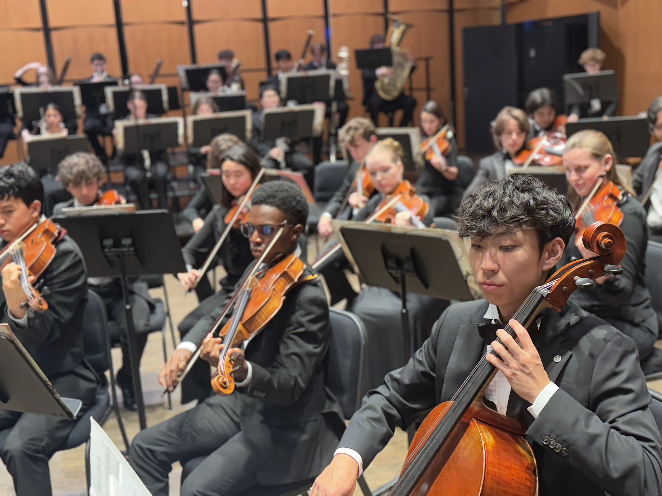 American Youth Philharmonic &amp; Sinfonietta In Concert