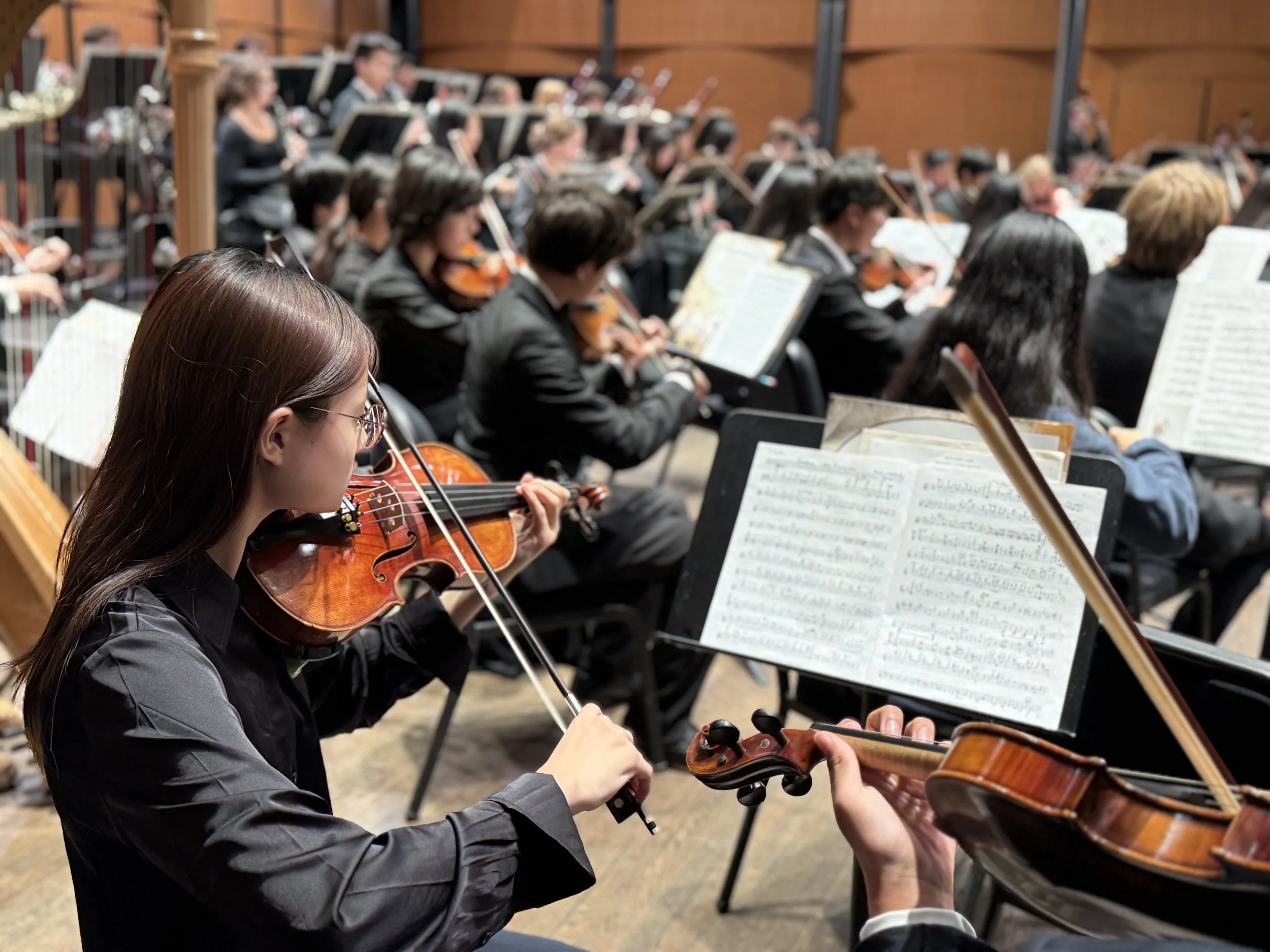 Concert Orchestra &amp; Symphonic Orchestra In Concert