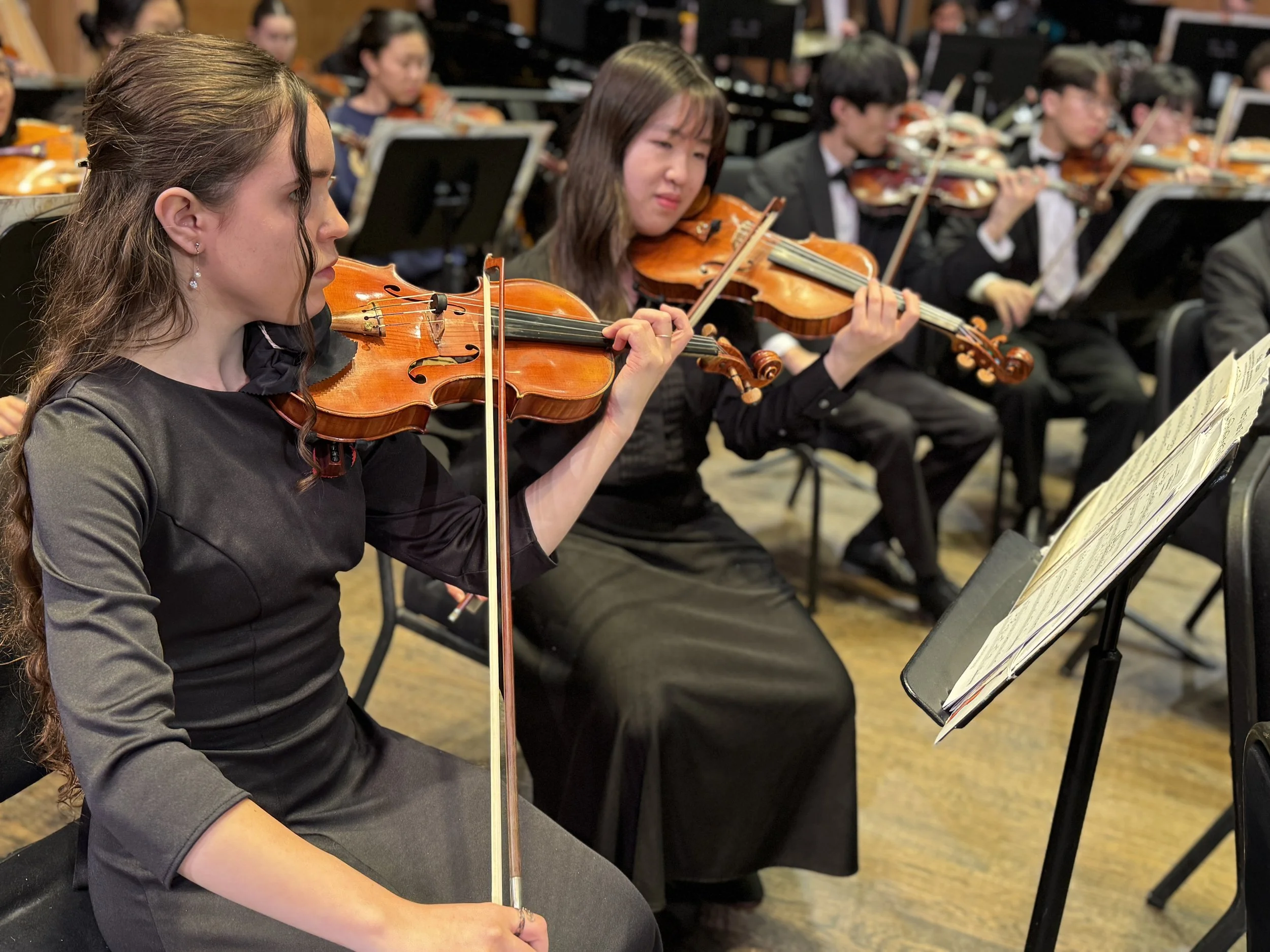 American Youth Philharmonic In Concert