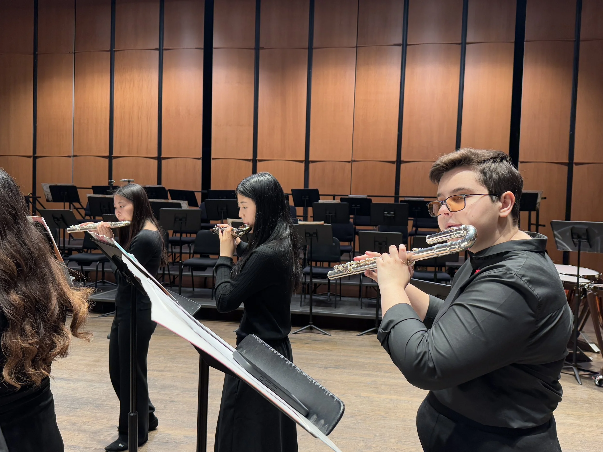 Flute Ensemble, Harp Ensemble &amp; Sinfonietta In Concert