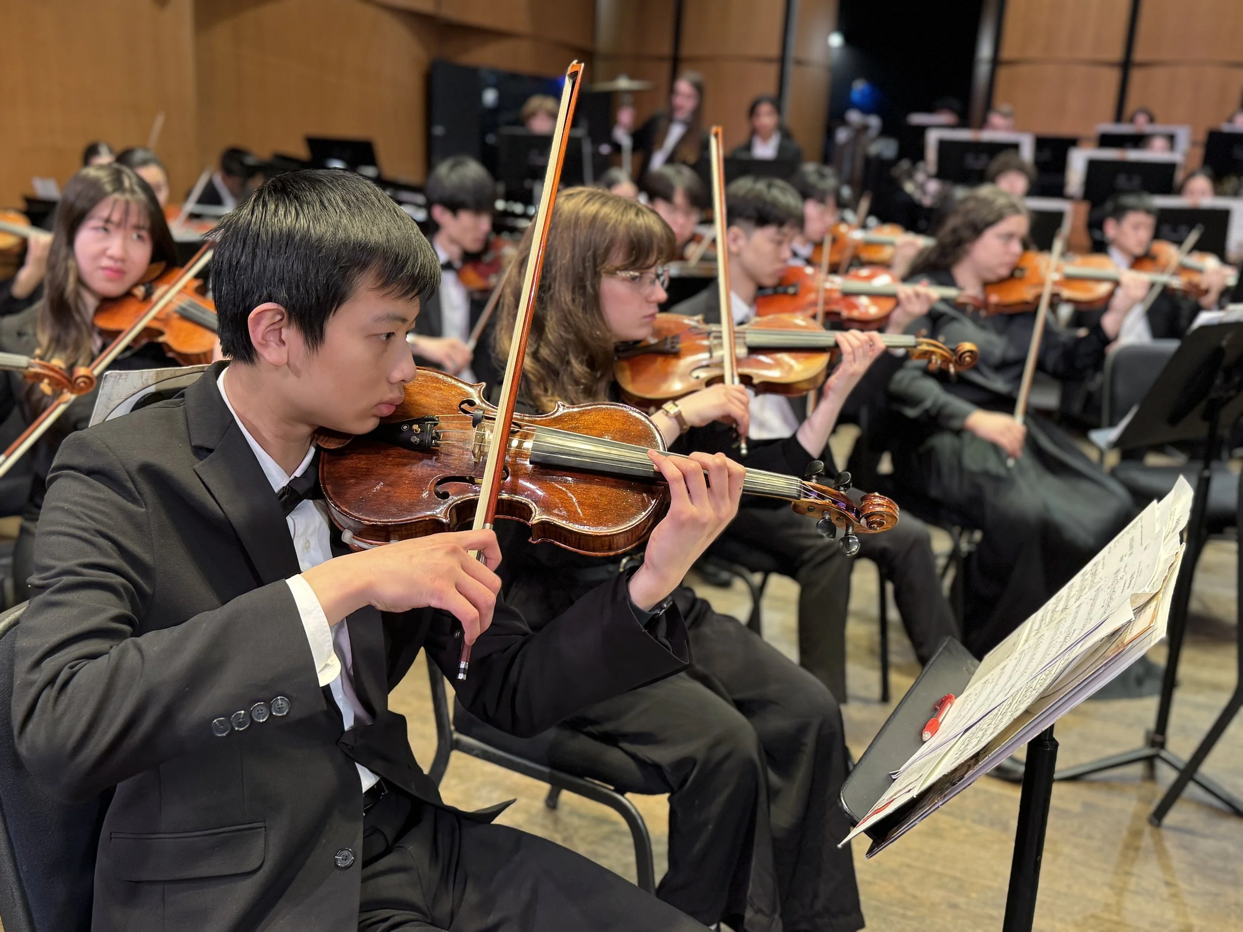 American Youth Philharmonic In Concert