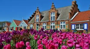 Tulip Time Parking Lots