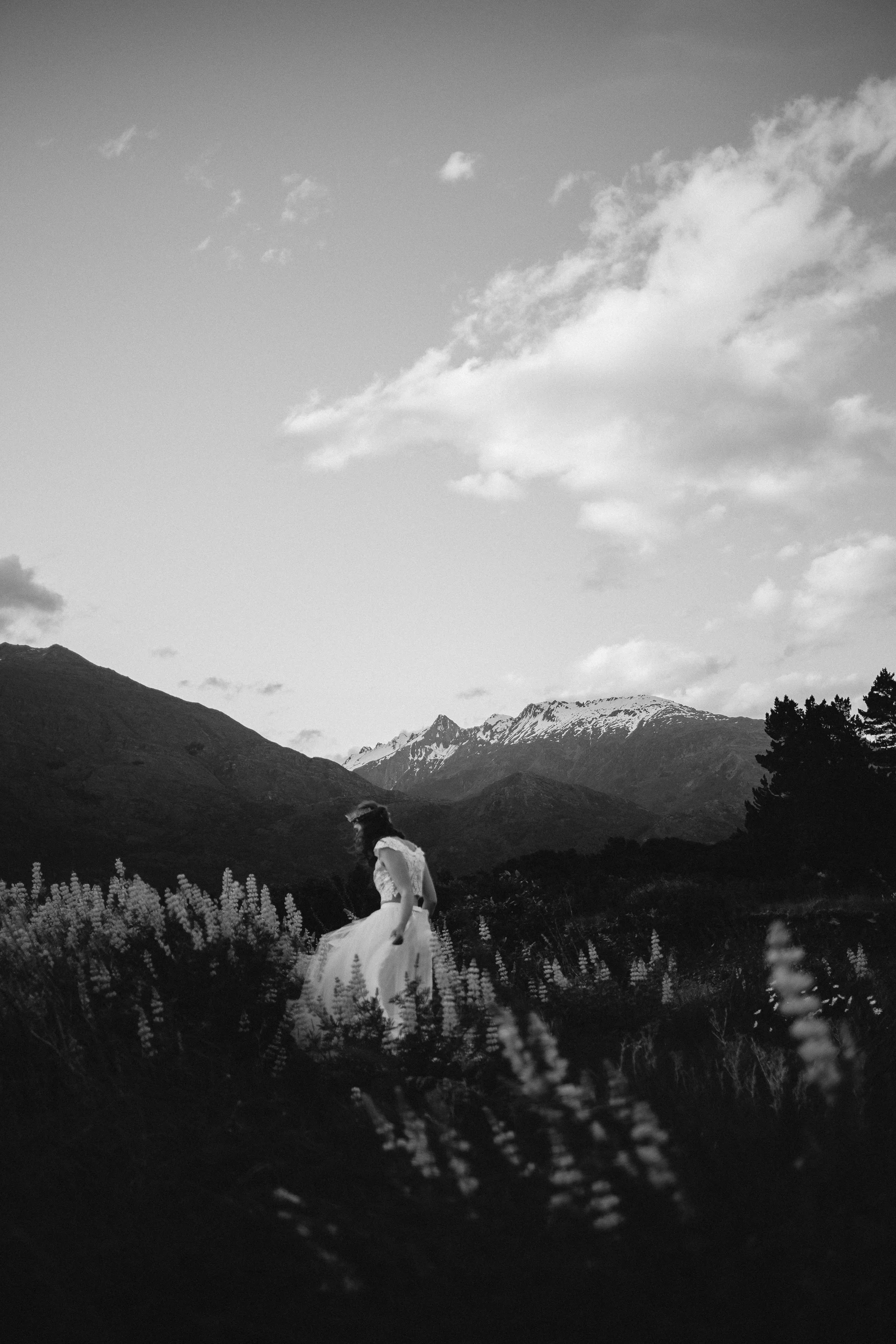 NZ-Roy Byrne Photographer-19.jpg