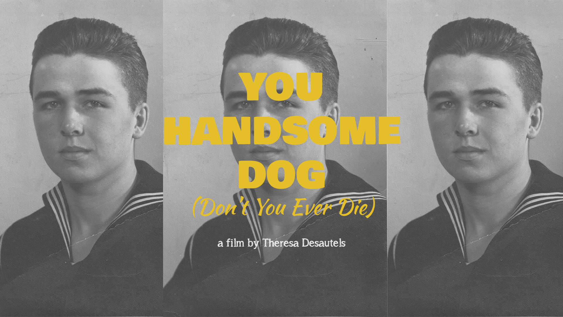 YHD-Verticle2.png