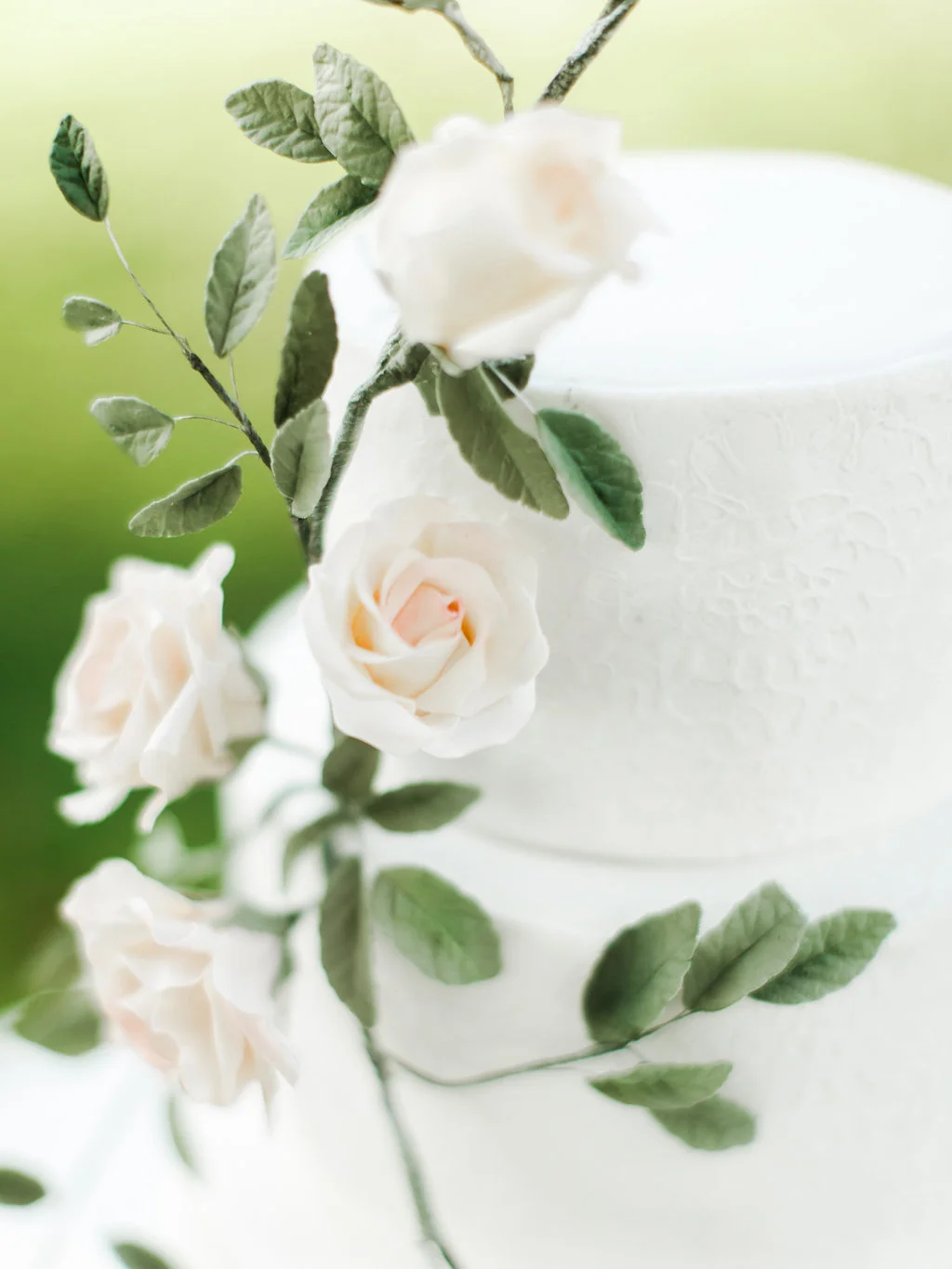 Rachel May Photography