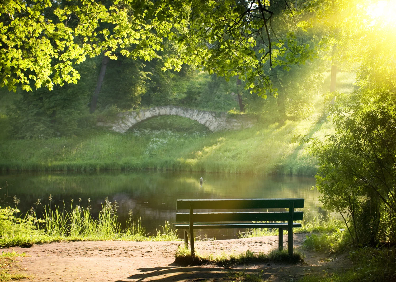 bench.jpg