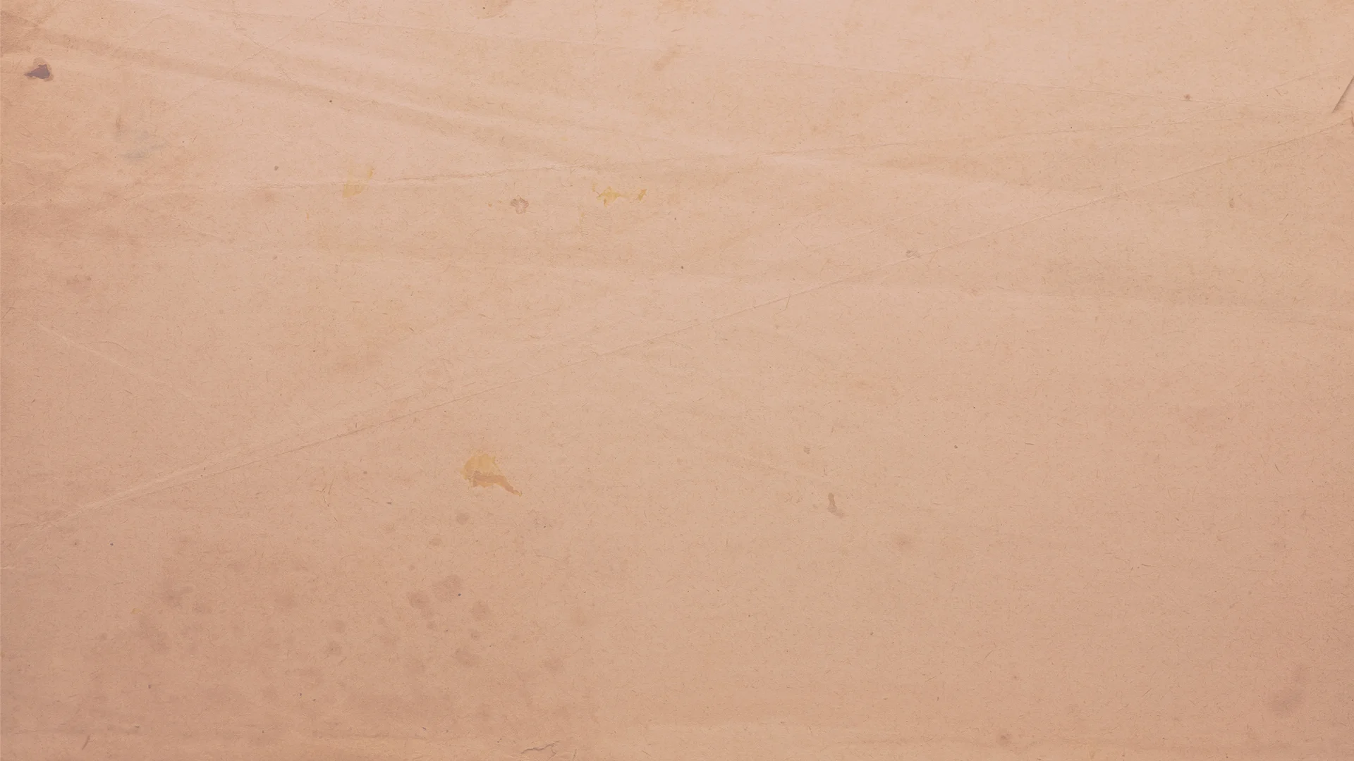 Blank Background.jpg