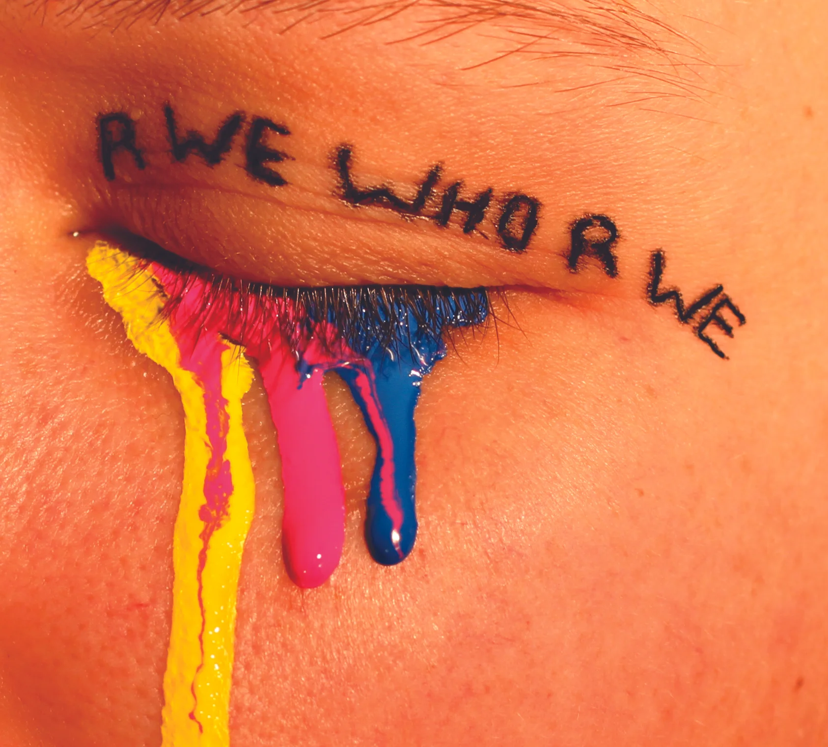 R WE WHO R WE (2013)