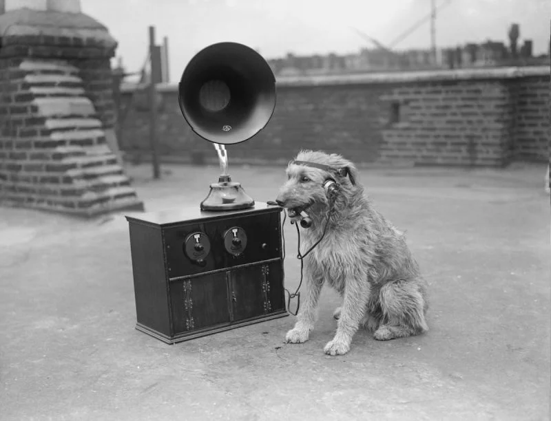 WeAreRadios1.jpg