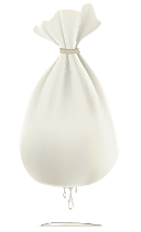 bag.gif