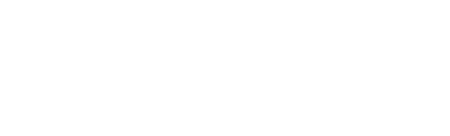 THE VALESCO GROUP