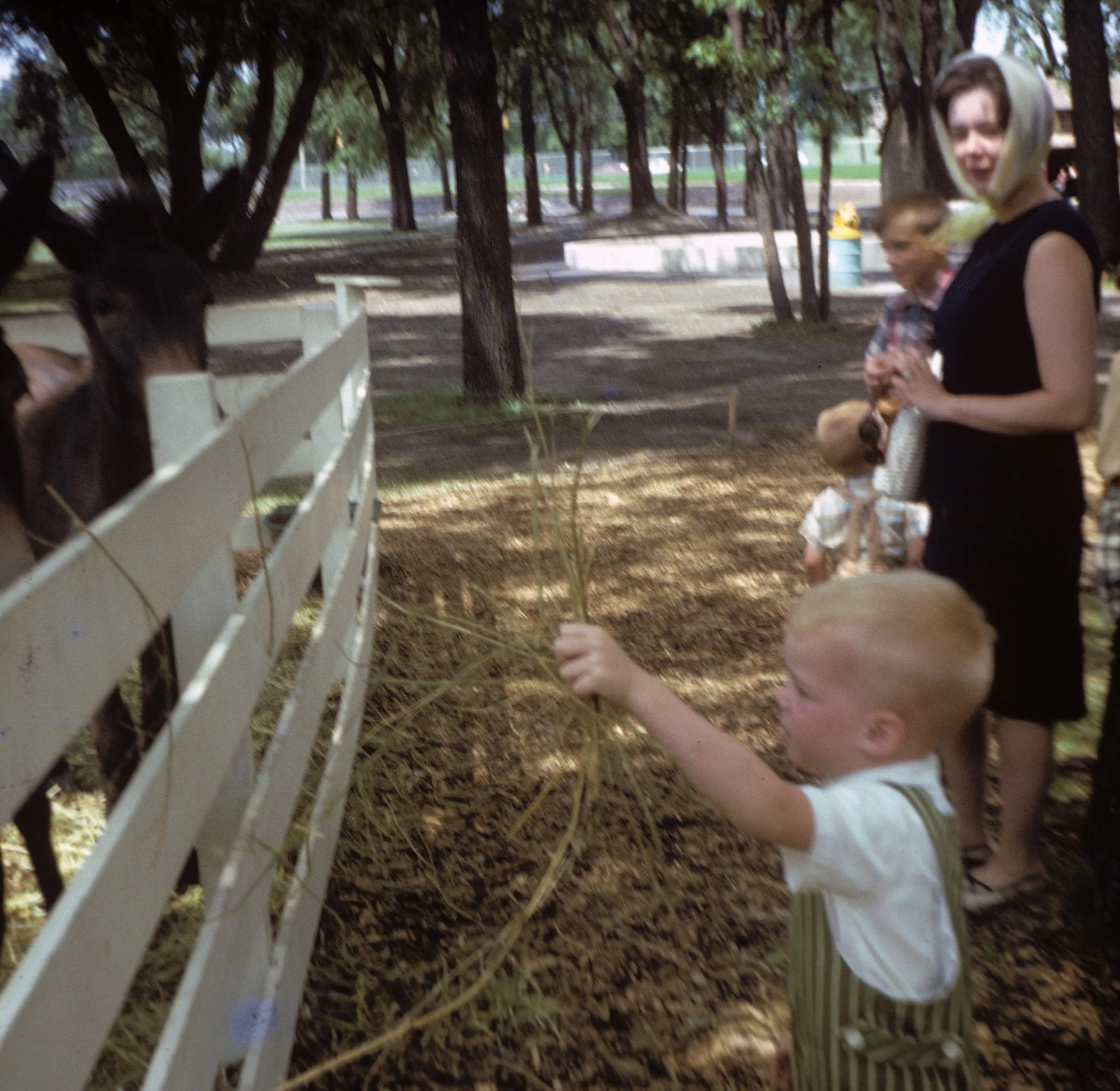 1966_Family_01_004.JPG