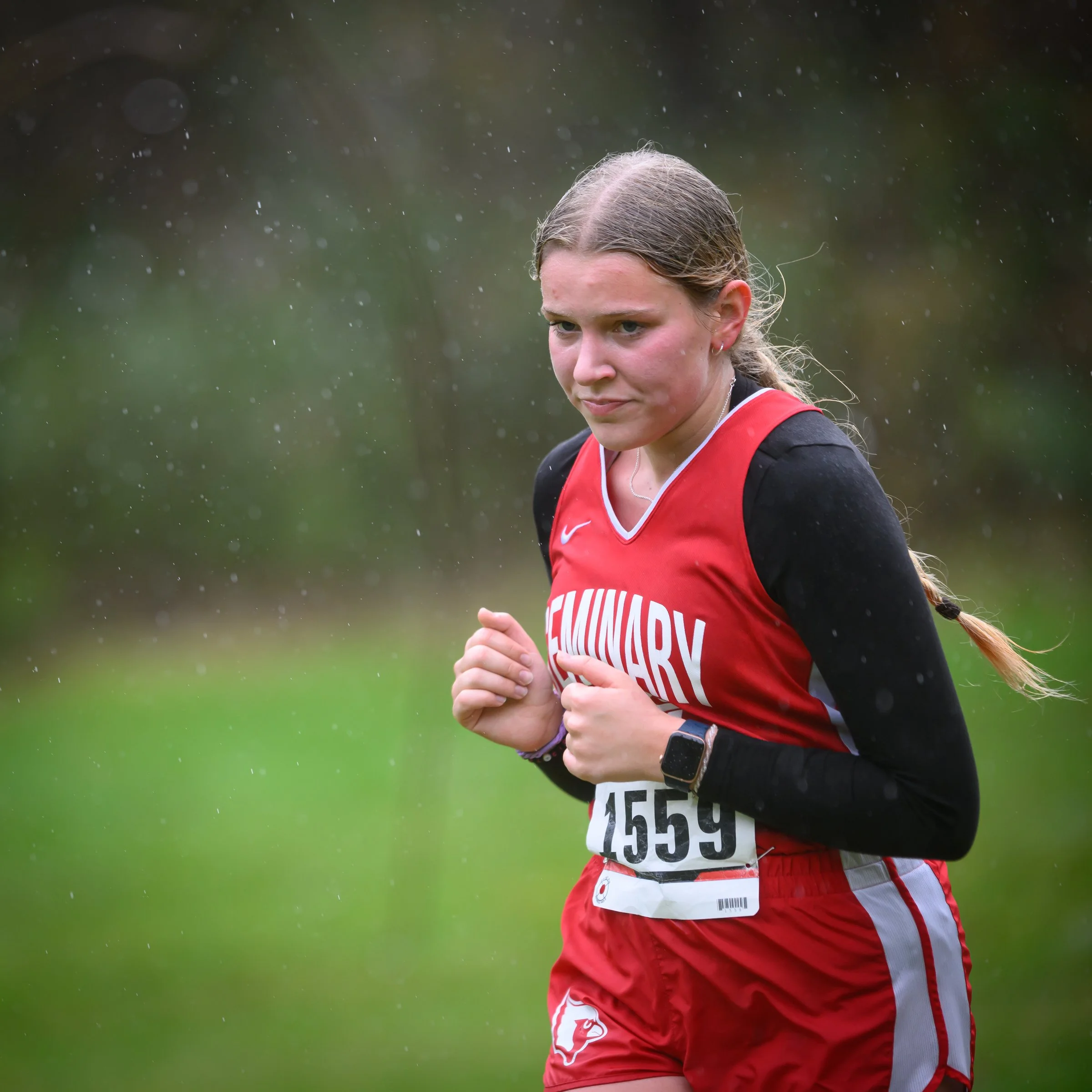 2MLSXC-1-9.jpg