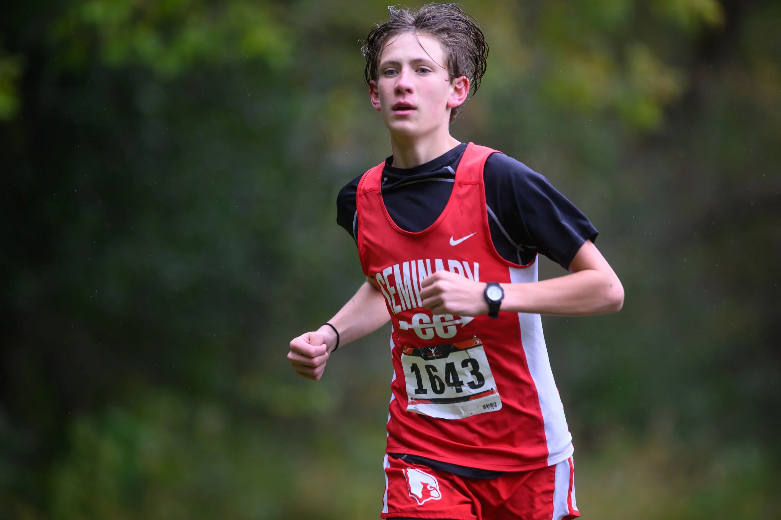 2MLSXC-1-15.jpg