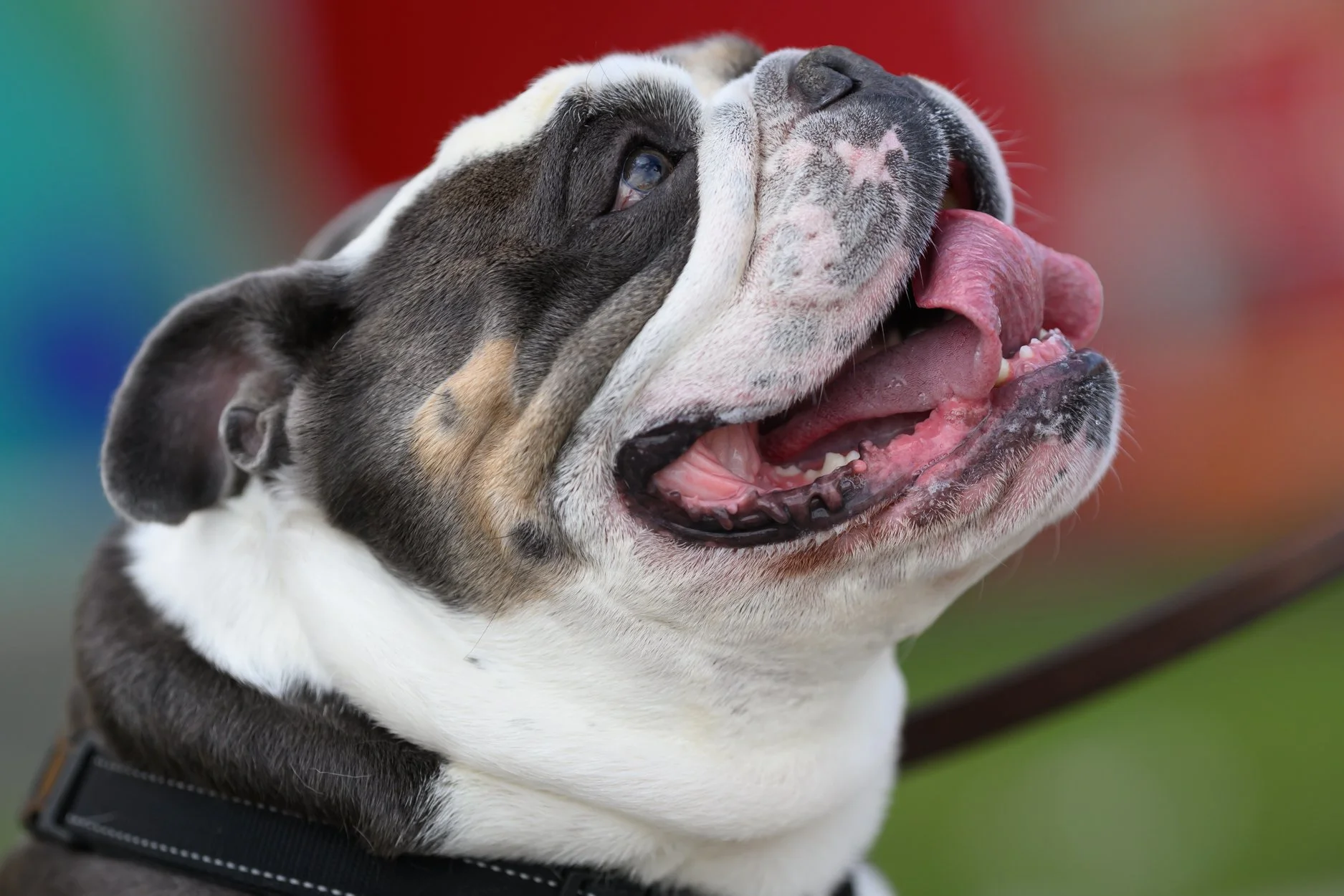 RC JUNE 2 SHINE BRIGHT-1-61.jpg