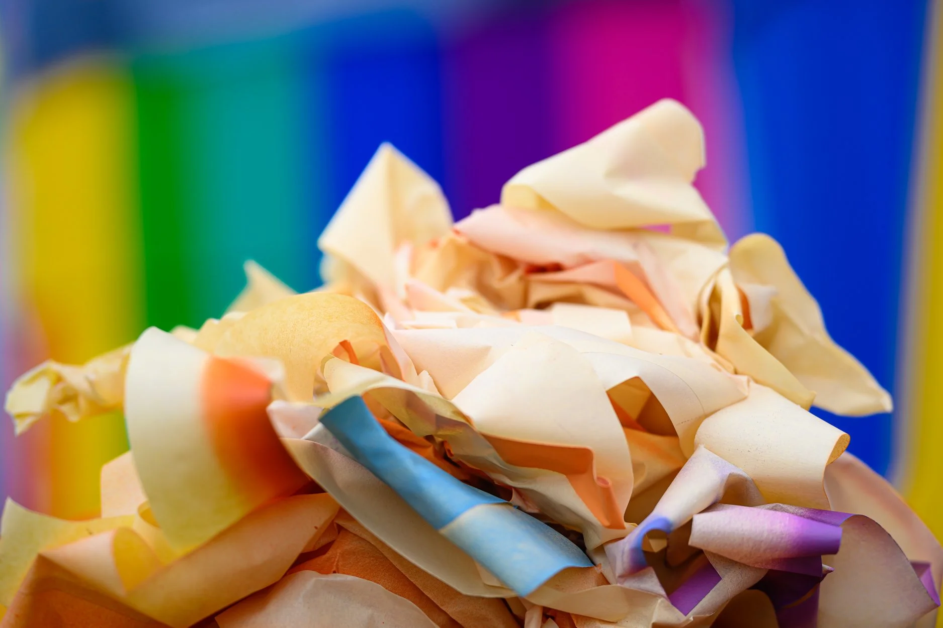 LOWRES-6-8-24 SBP-14.jpg