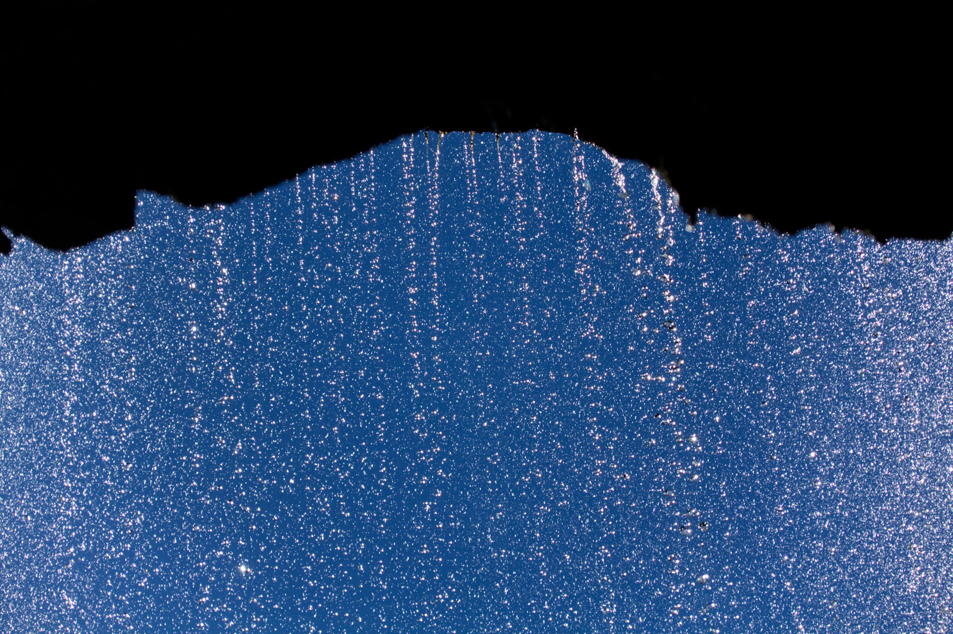 mls  low res-1.jpg