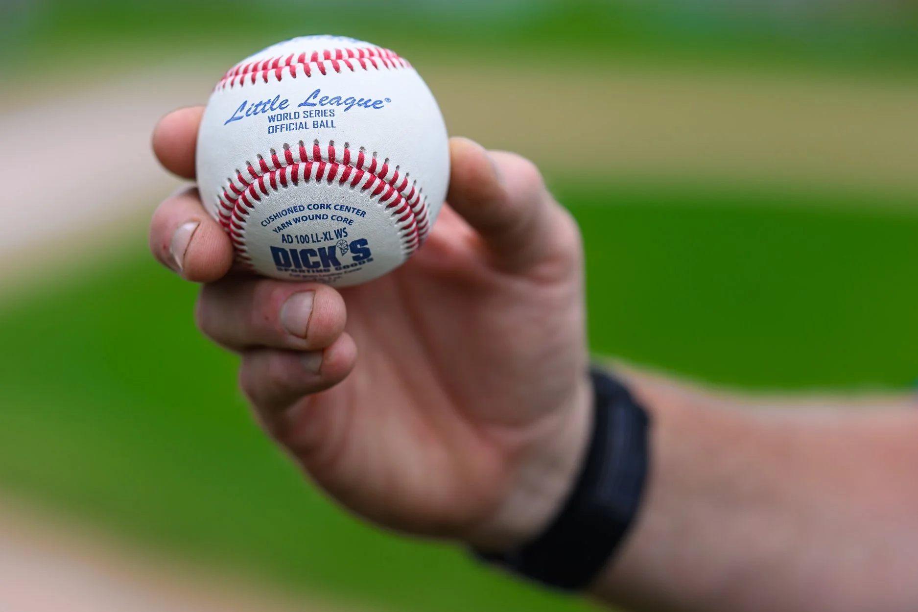 LOW RES SAGINAW TOURNAMENT-1-72.jpg