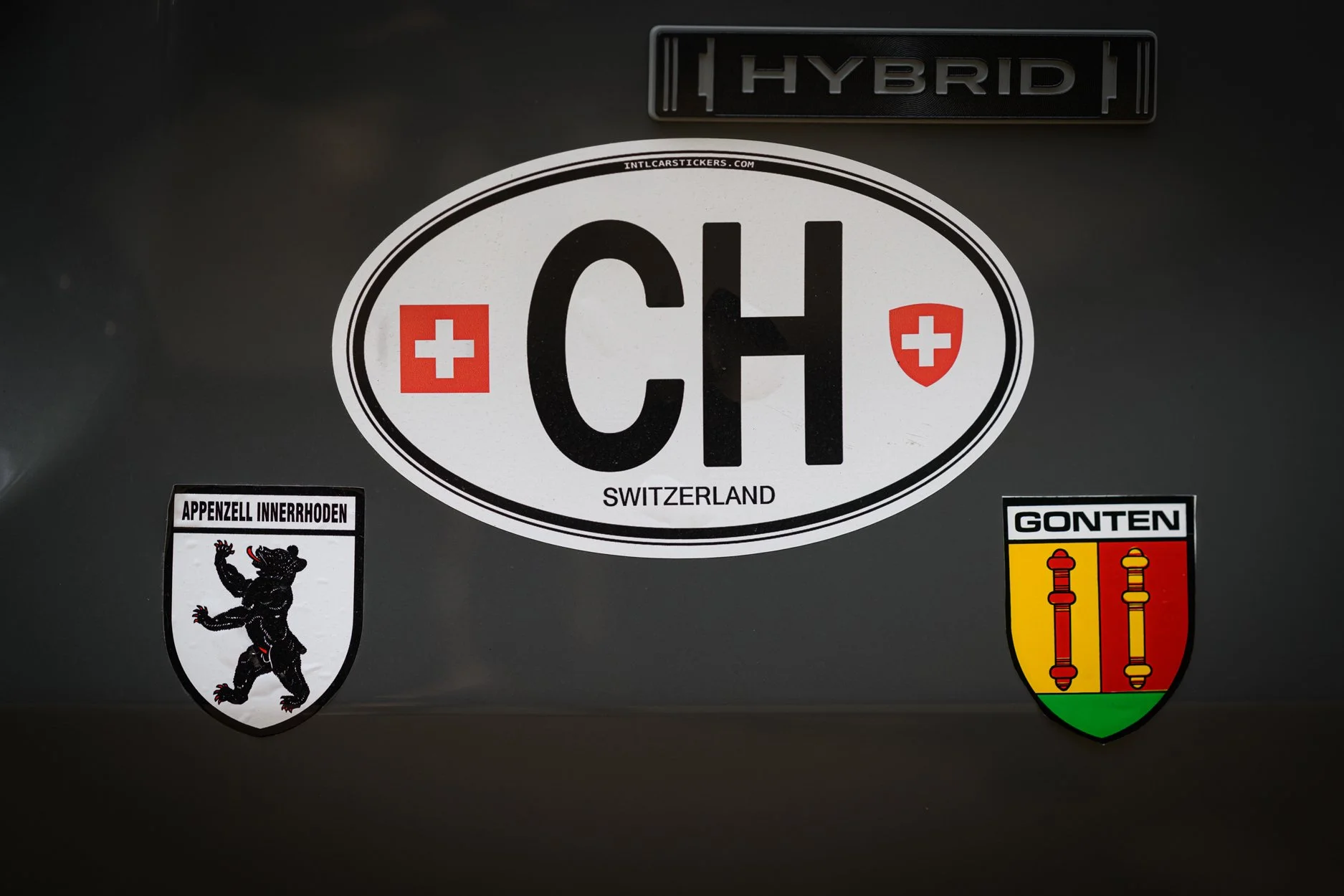 CHPICNIC25-60.jpg