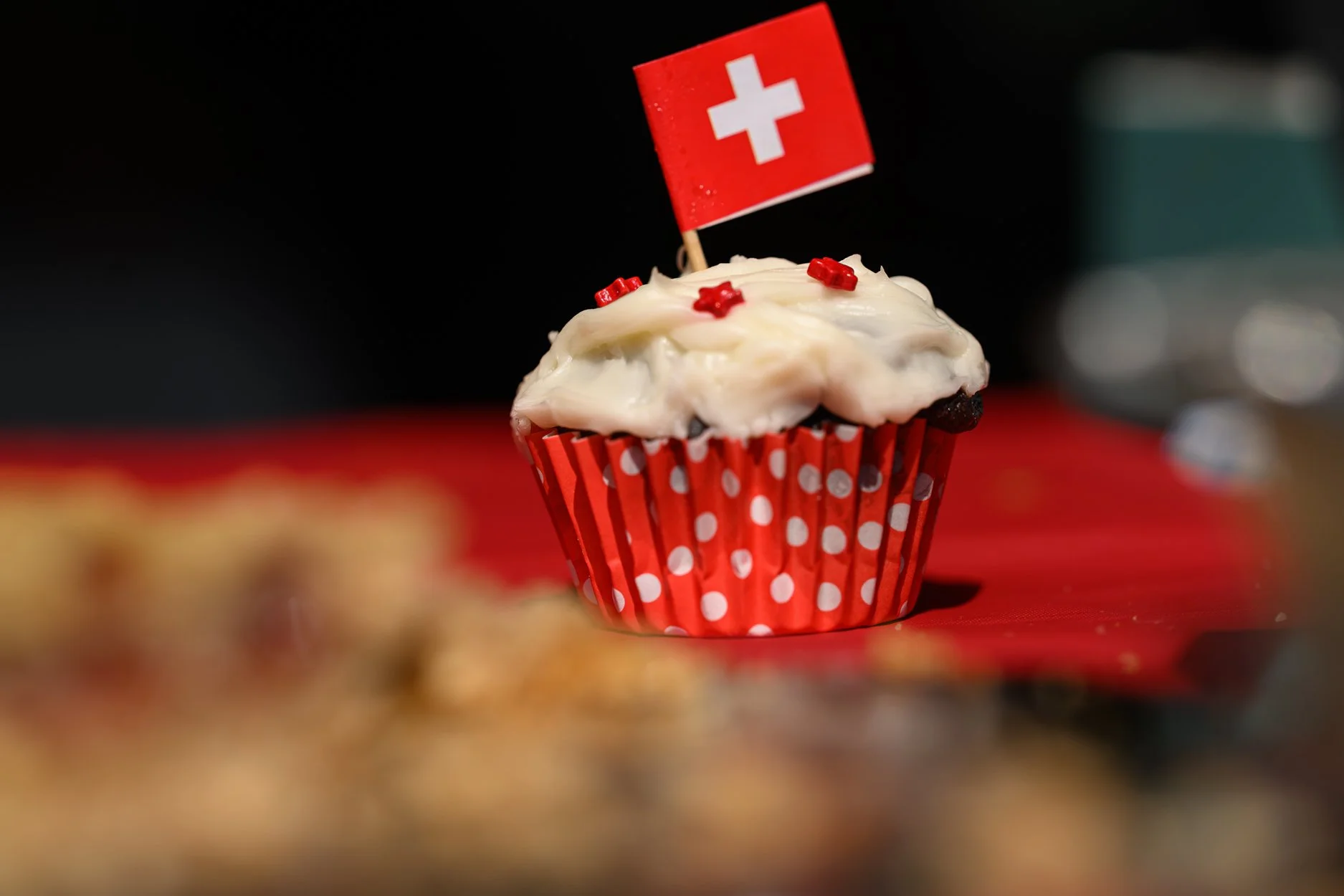 CHPICNIC25-62.jpg