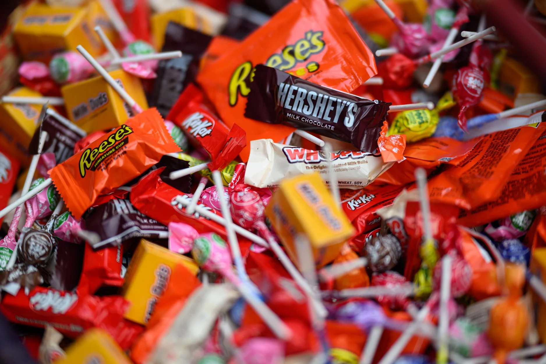 Halloween 2025-1-7.jpg