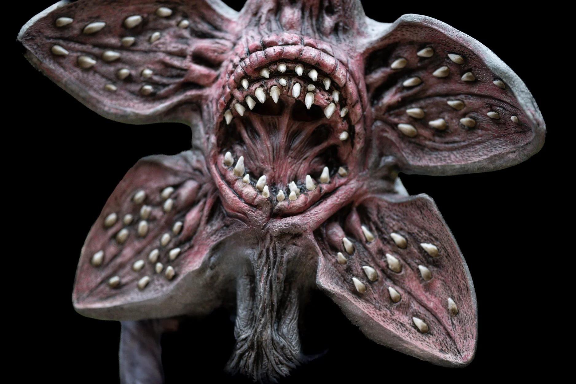 Halloween 2025-1-23.jpg