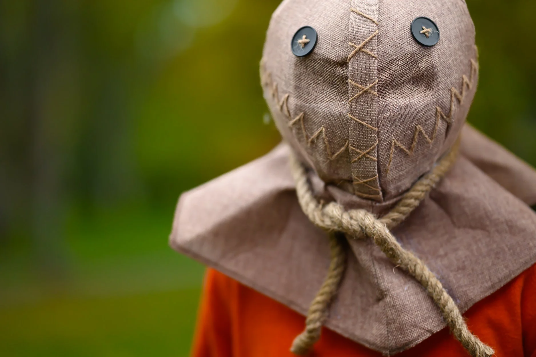 Halloween 2025-1-49.jpg