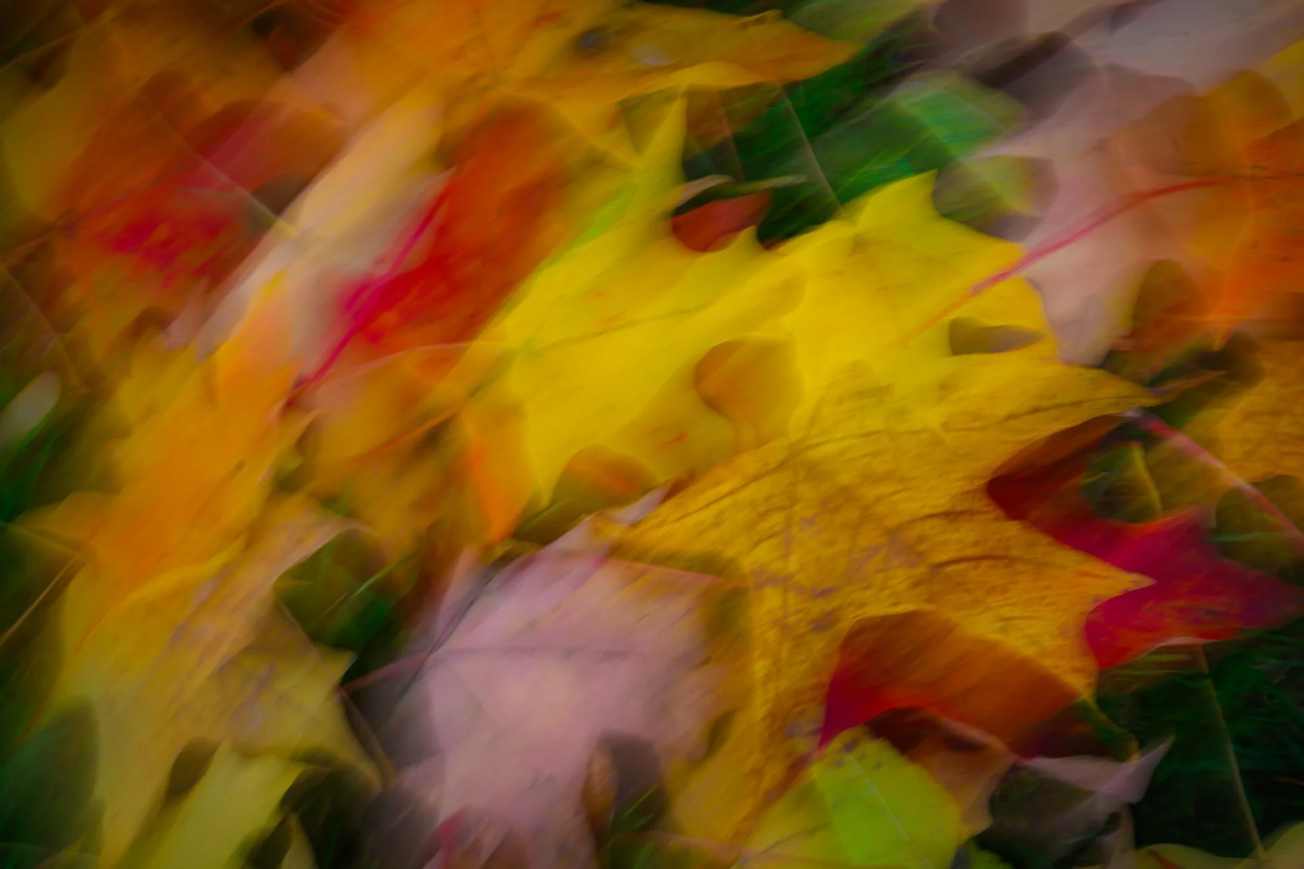 Halloween 2025-1.jpg