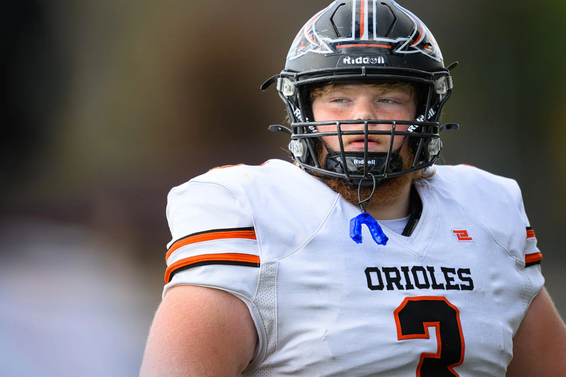 LOW RESOLUTION MORRICE DSF-1.jpg