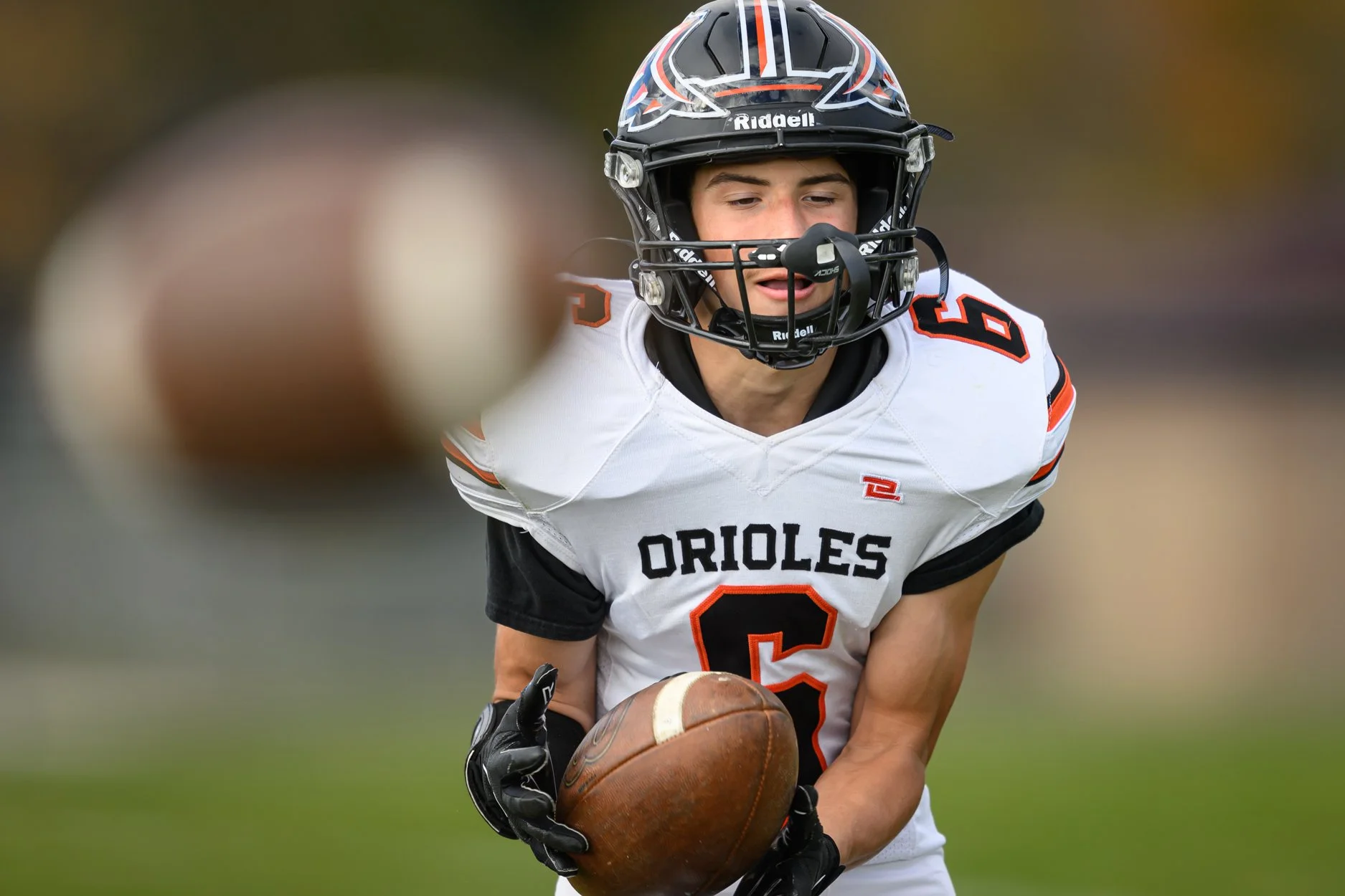 LOW RESOLUTION MORRICE DSF-3.jpg