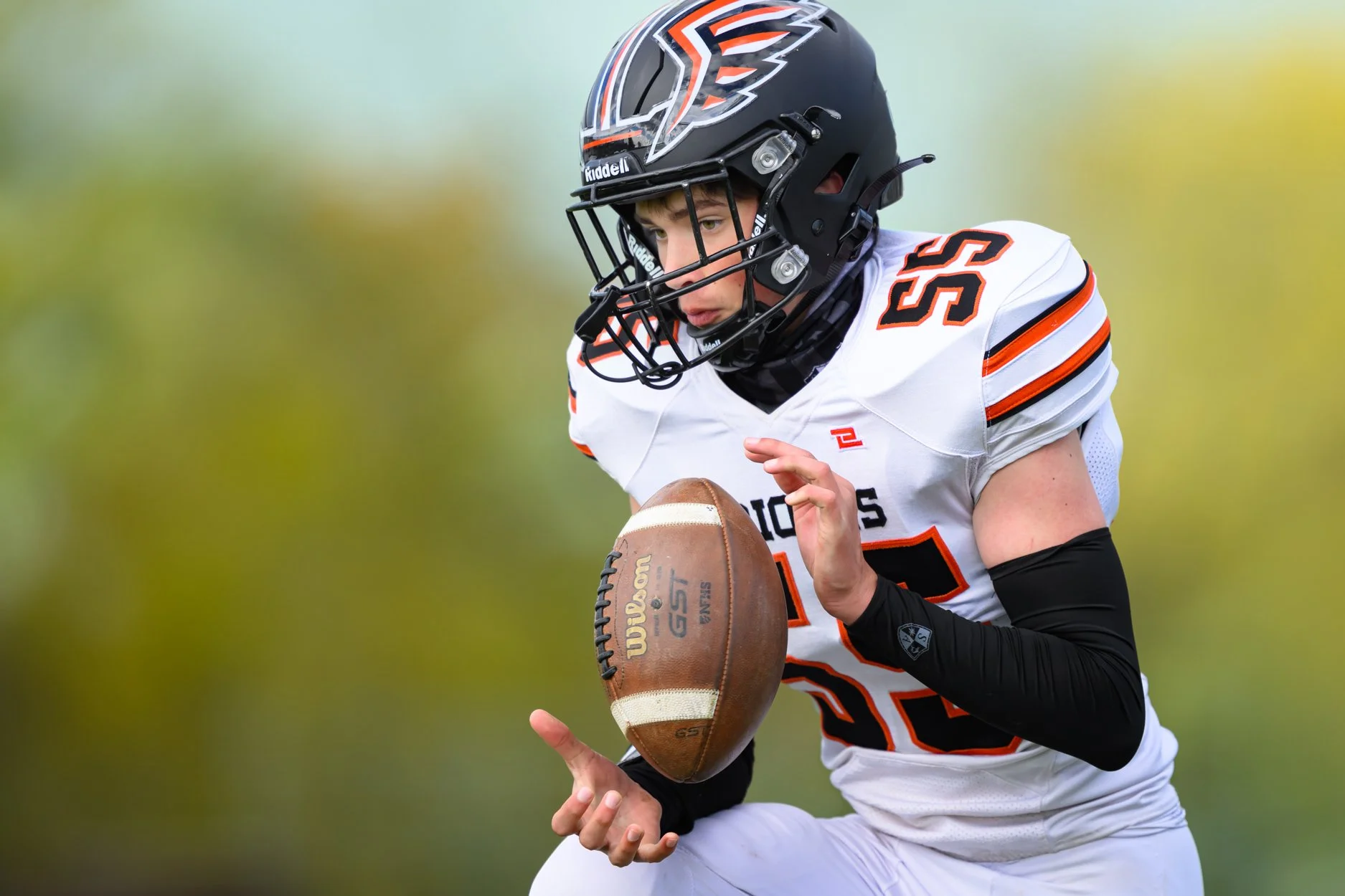 LOW RESOLUTION MORRICE DSF-4.jpg