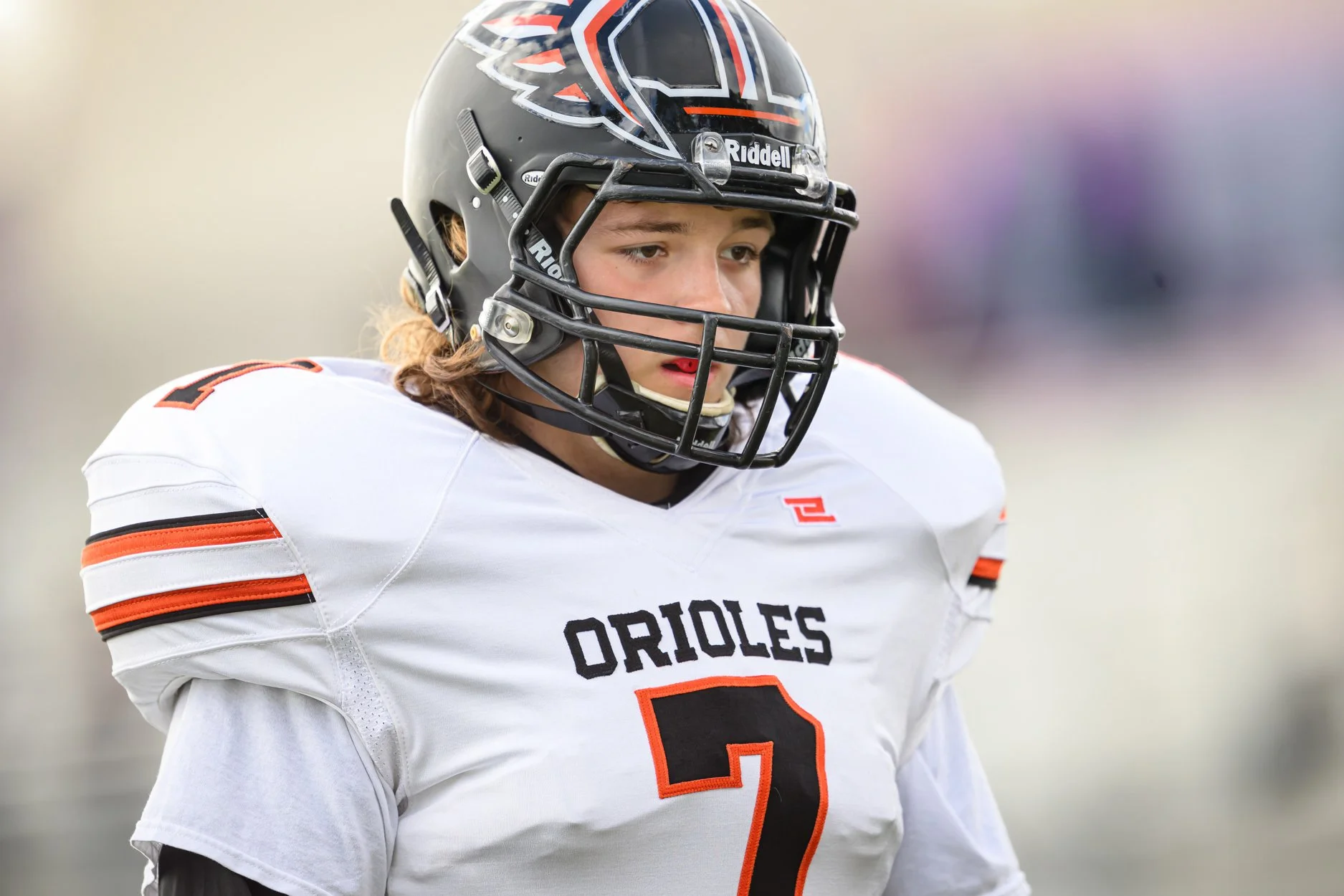 LOW RESOLUTION MORRICE DSF-6.jpg