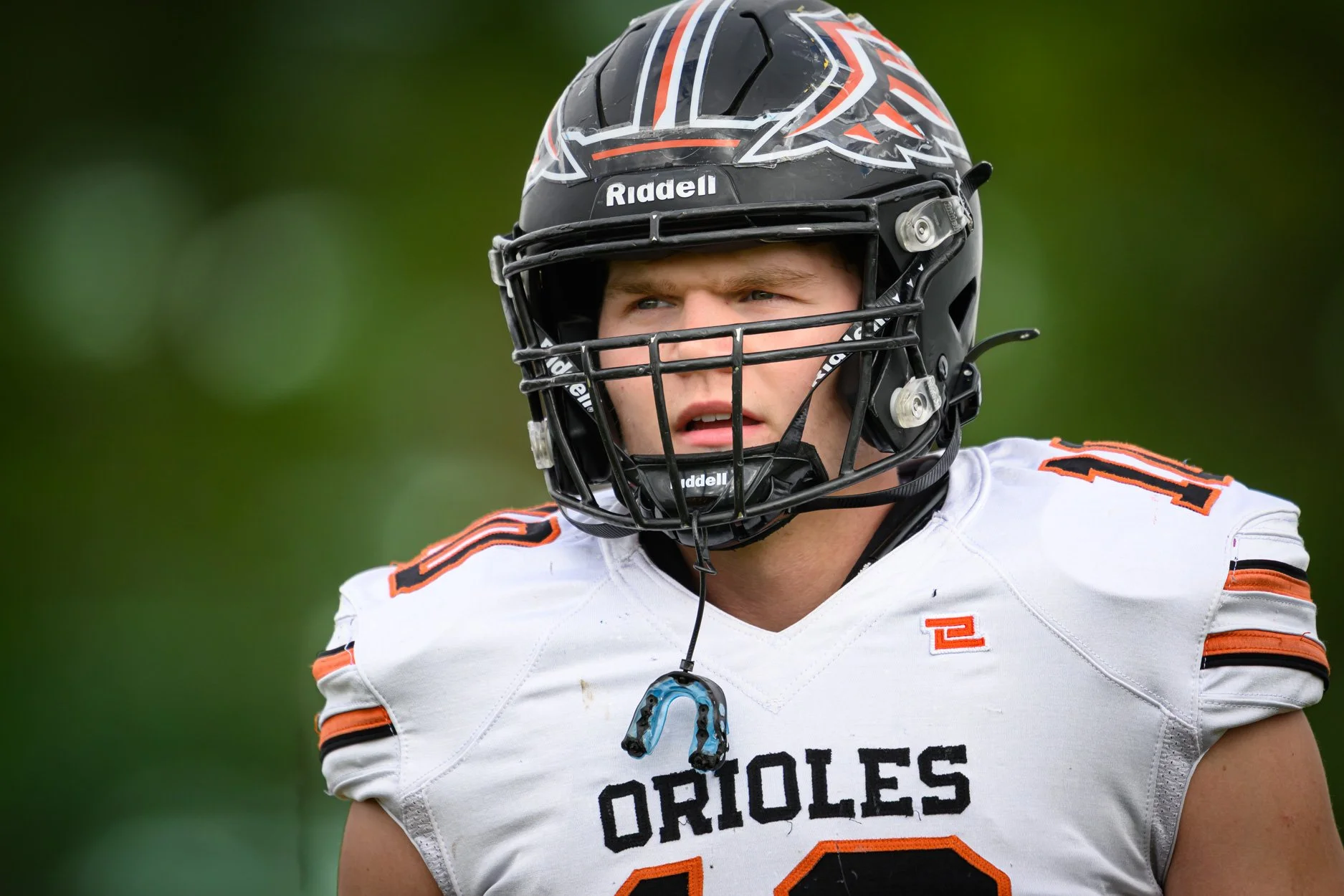 LOW RESOLUTION MORRICE DSF-9.jpg