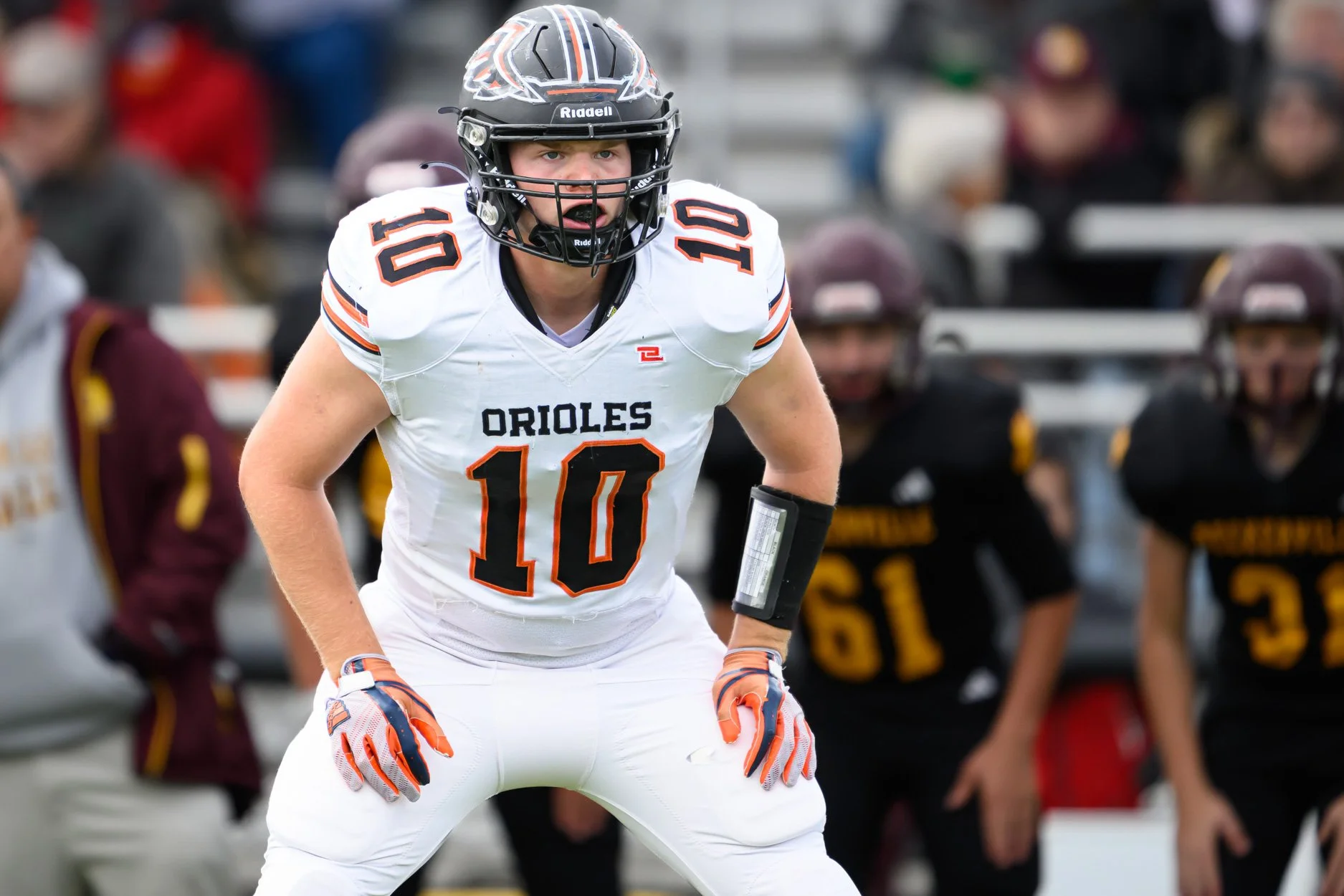 LOW RESOLUTION MORRICE DSF-11.jpg